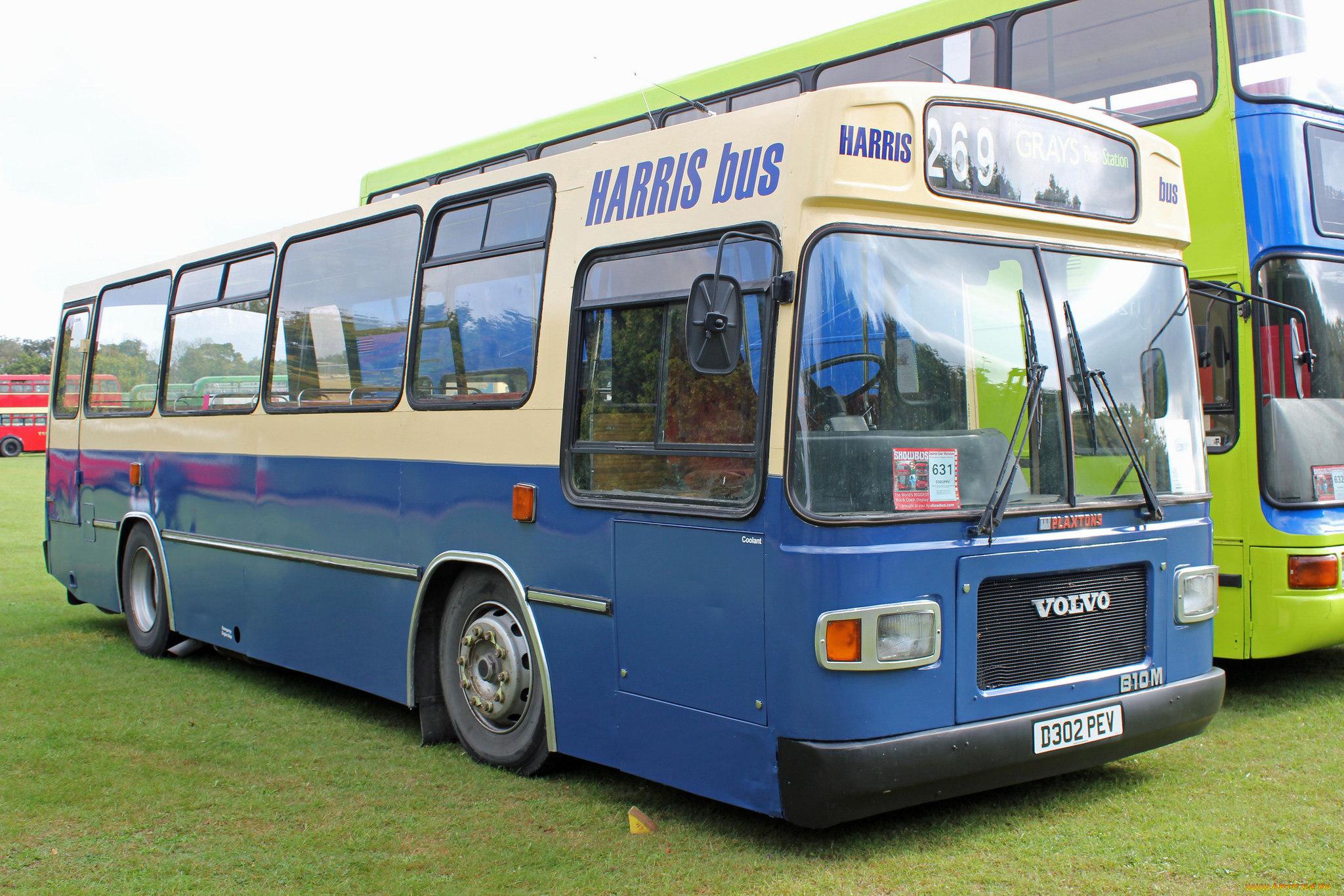 автомобили, автобусы, транспорт, пассажирский