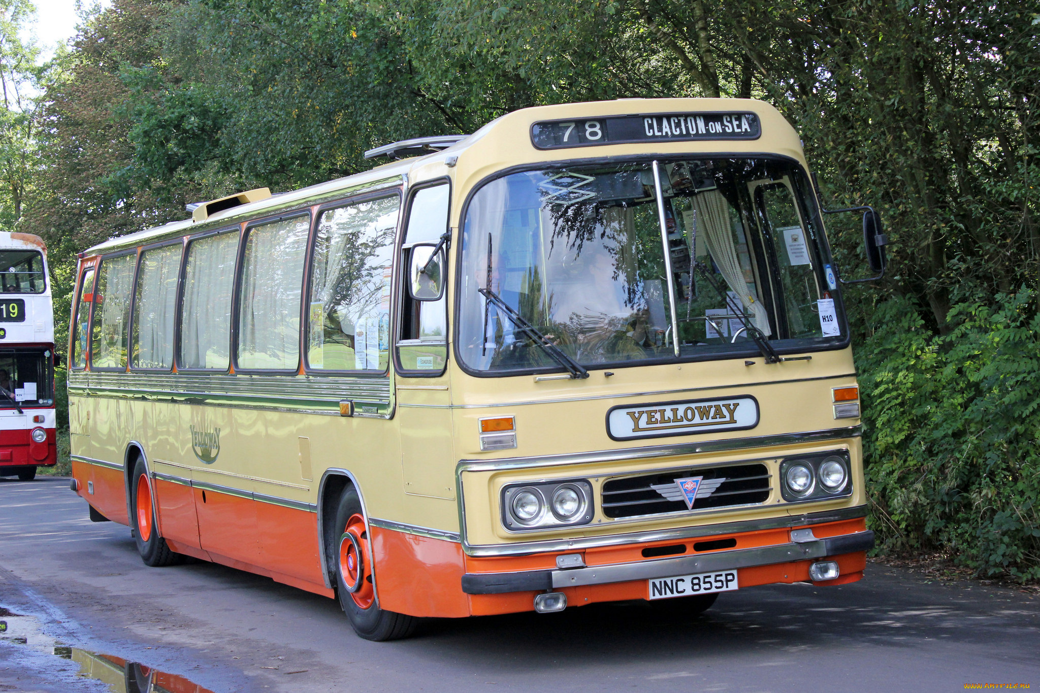 автомобили, автобусы, транспорт, пассажирский