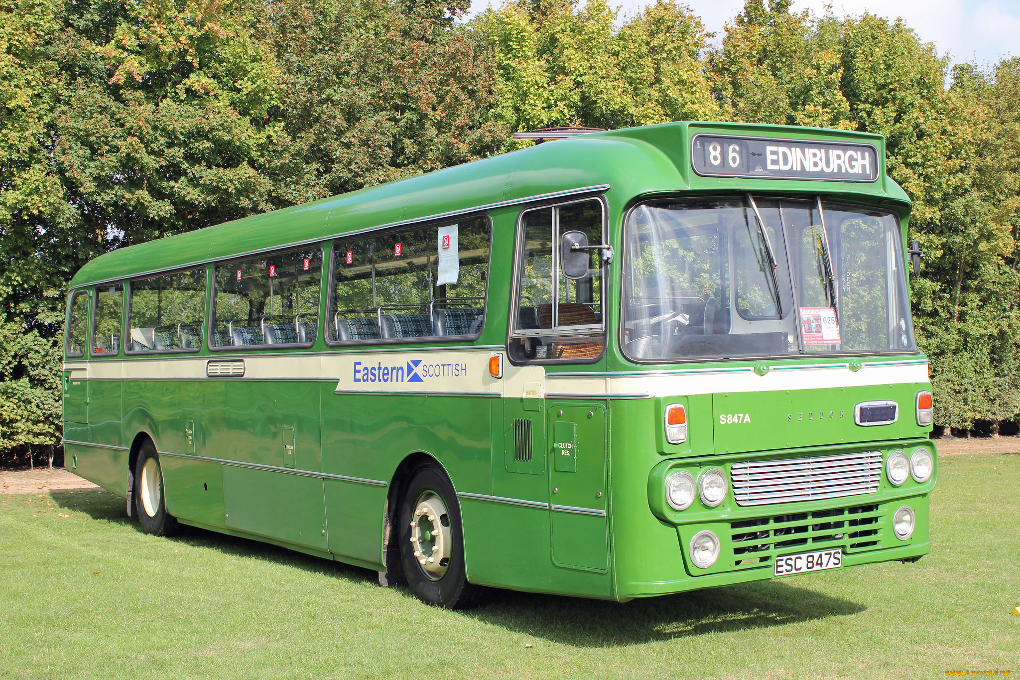 автомобили, автобусы, транспорт, пассажирский