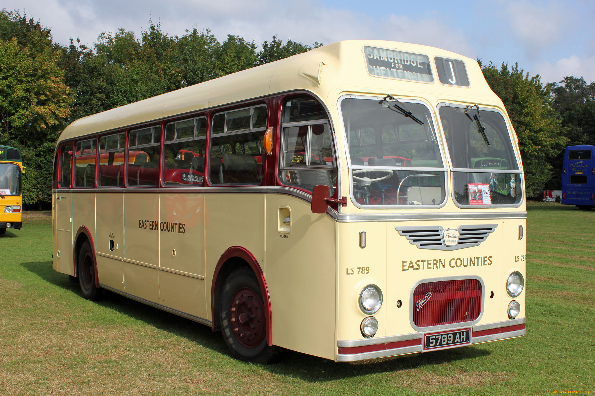 автомобили, автобусы, транспорт, пассажирский