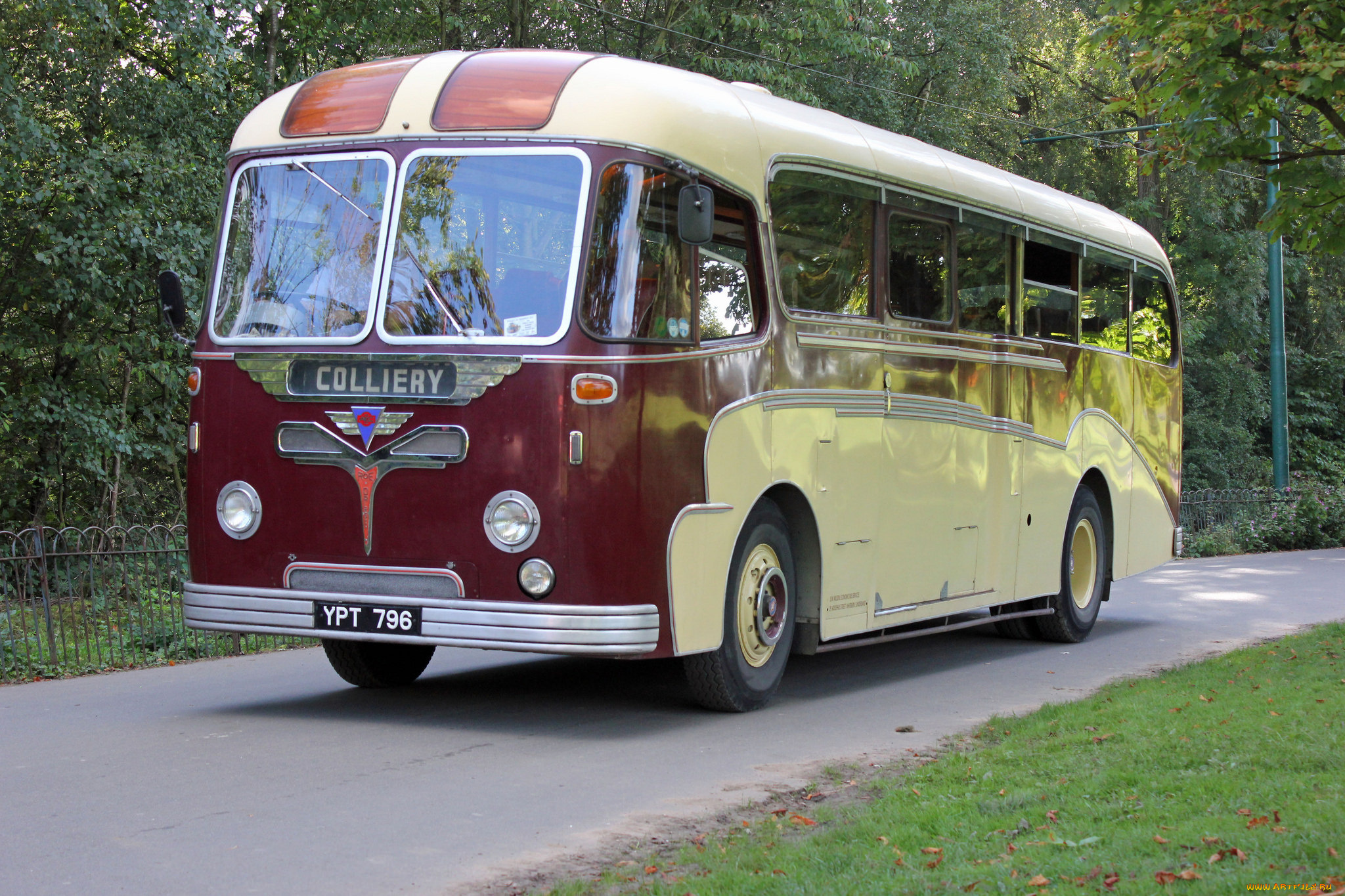 автомобили, автобусы, транспорт, пассажирский