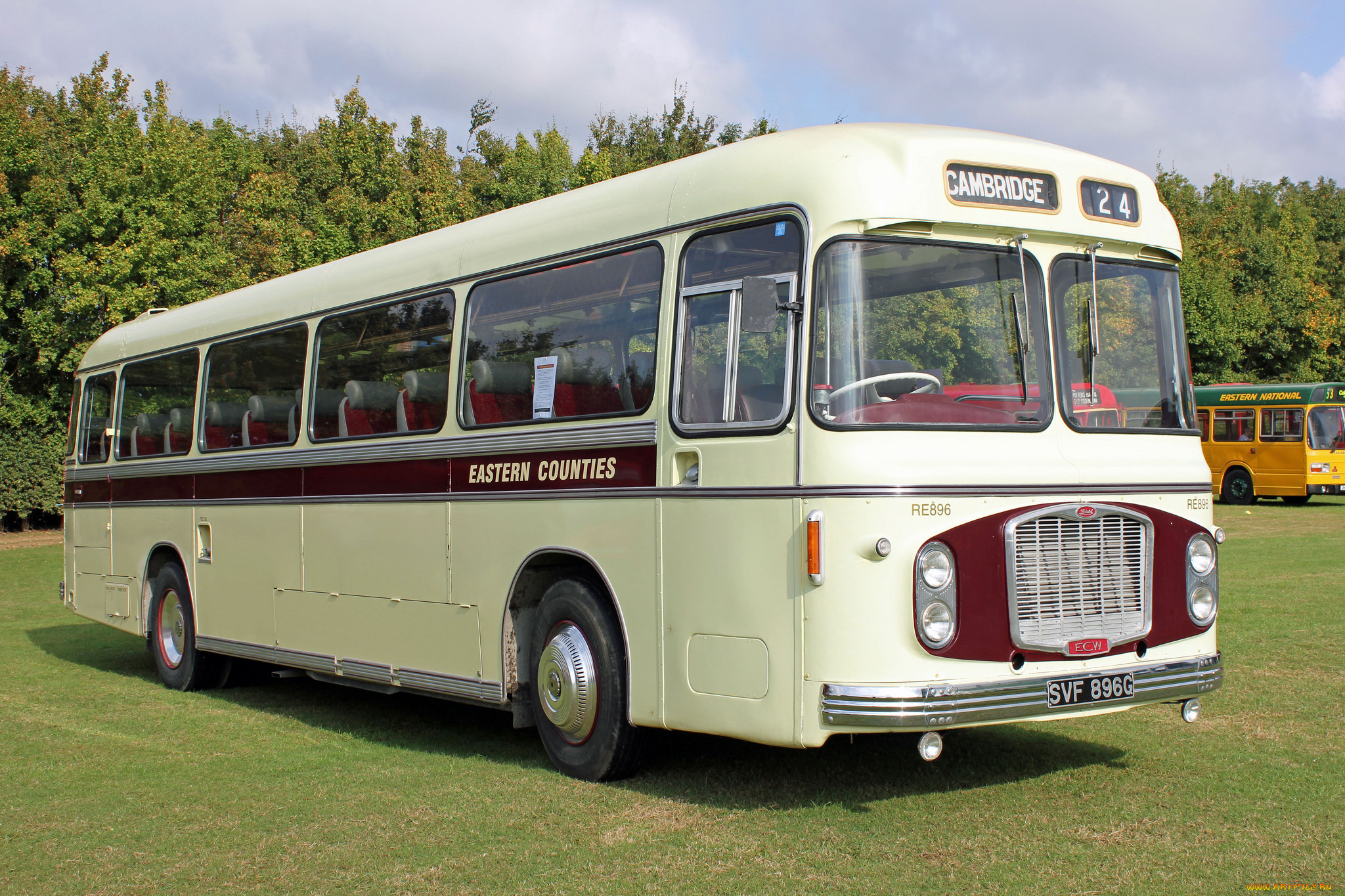 автомобили, автобусы, транспорт, пассажирский