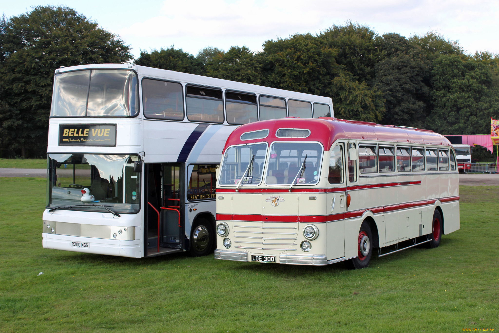 автомобили, автобусы, транспорт, пассажирский