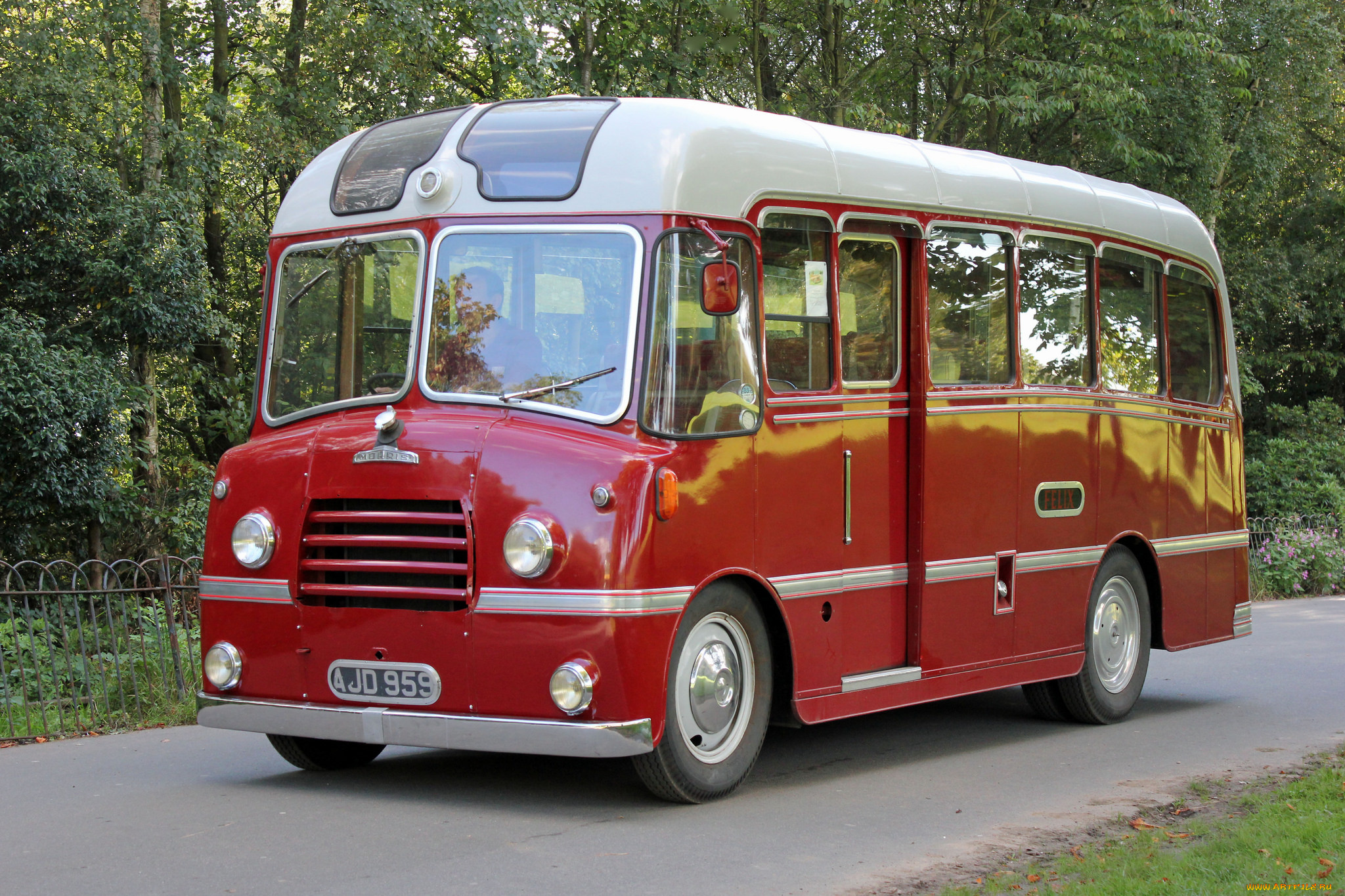 автомобили, автобусы, транспорт, пассажирский