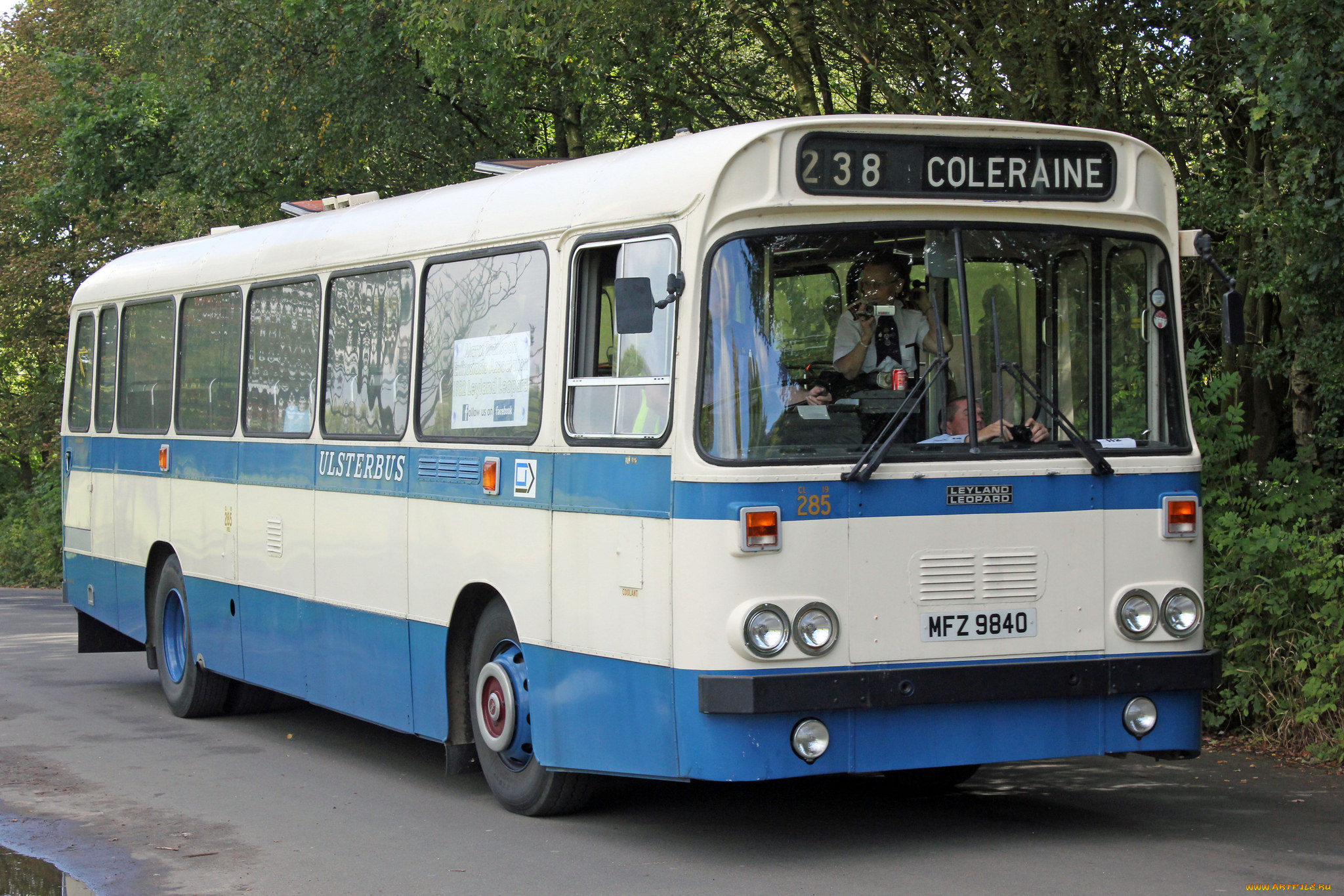 автомобили, автобусы, транспорт, пассажирский