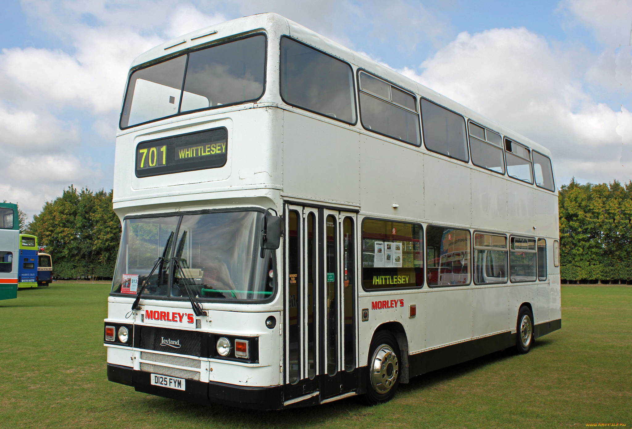 автомобили, автобусы, транспорт, пассажирский