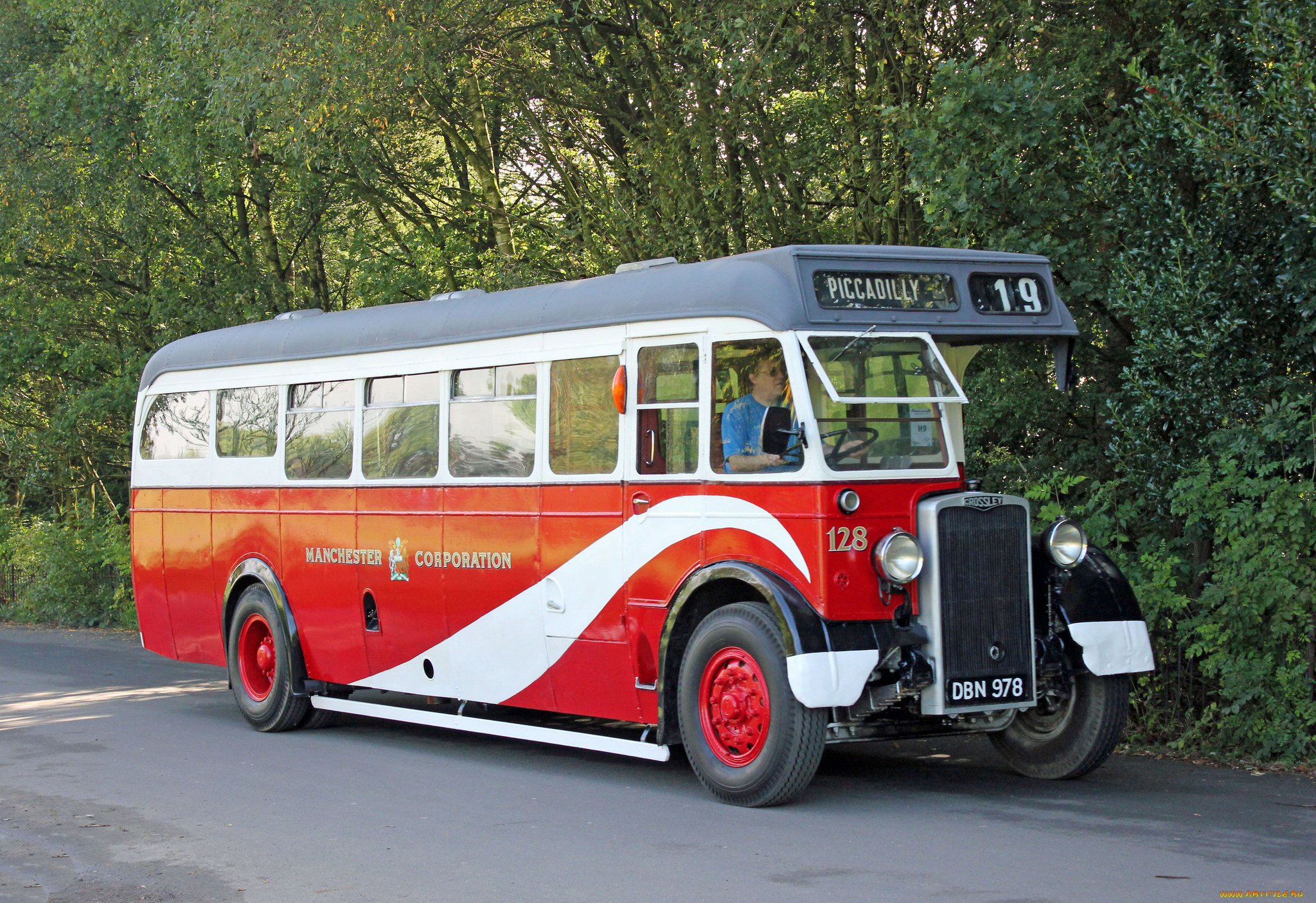 автомобили, автобусы, транспорт, пассажирский