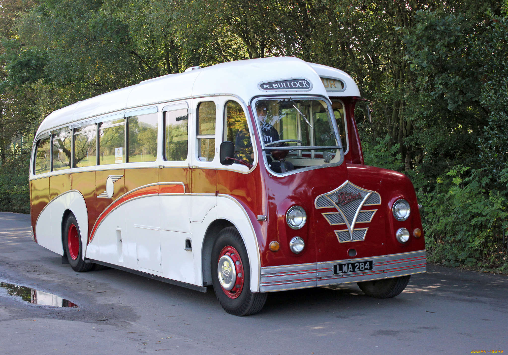 автомобили, автобусы, транспорт, пассажирский