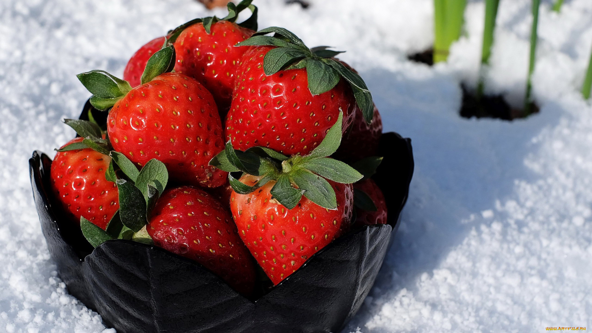 еда, клубника, , земляника, ягоды, снег
