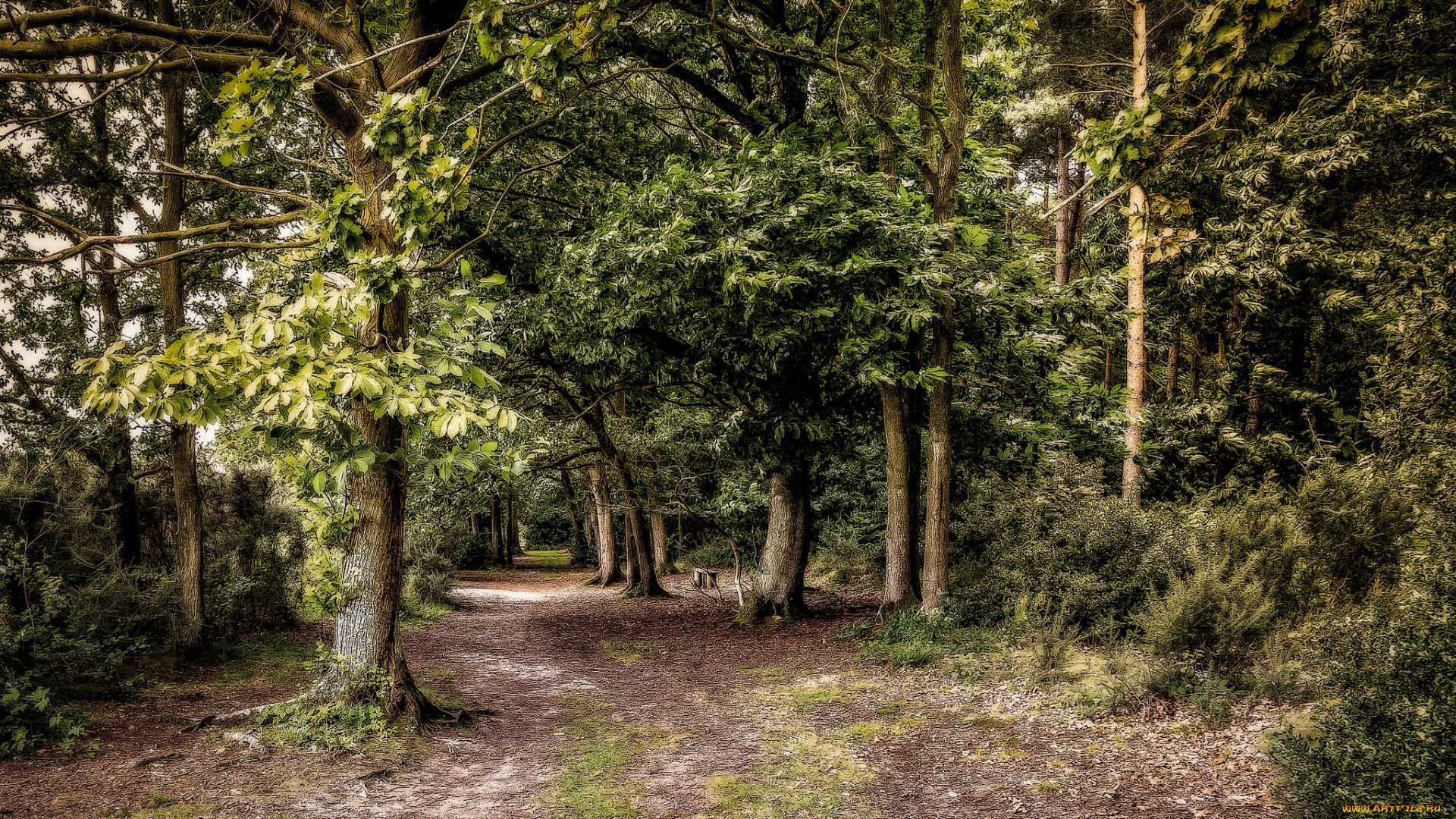 природа, дороги, тракт