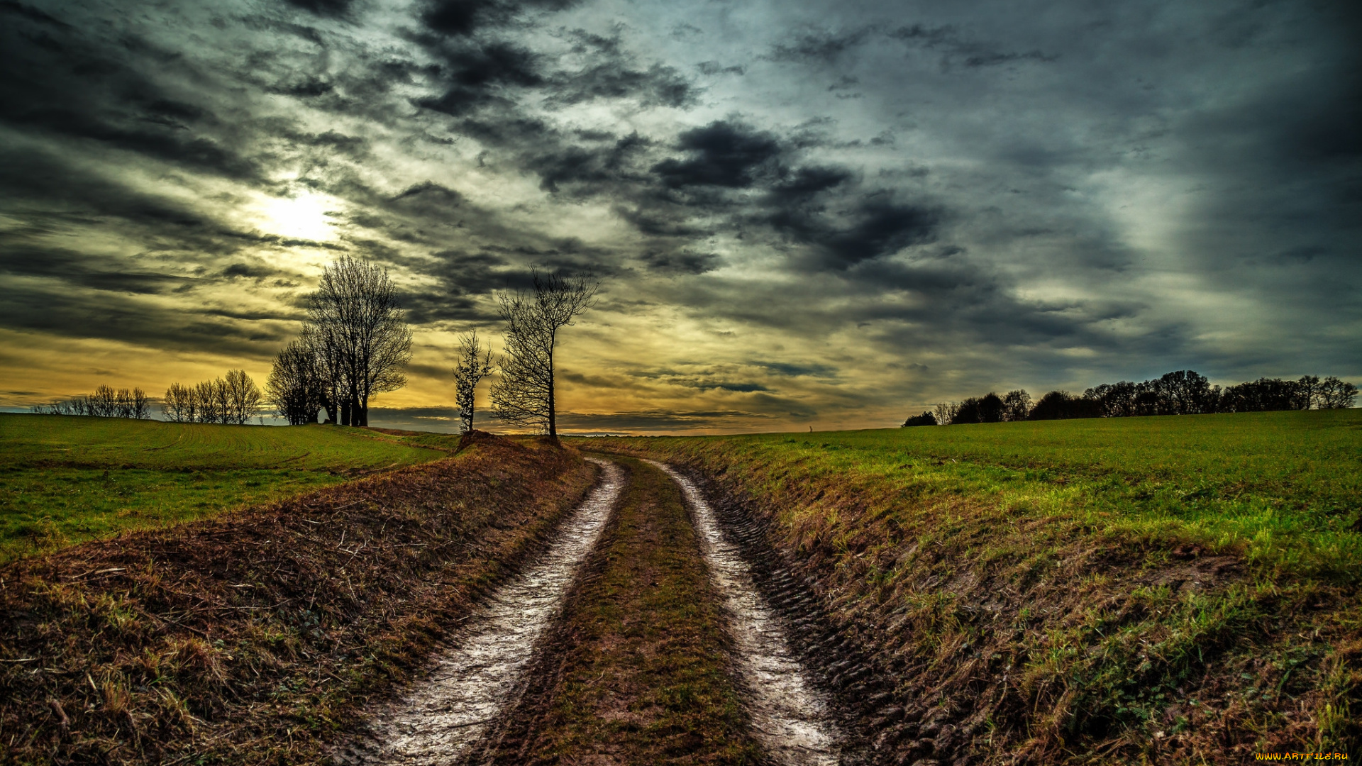 природа, дороги, тракт