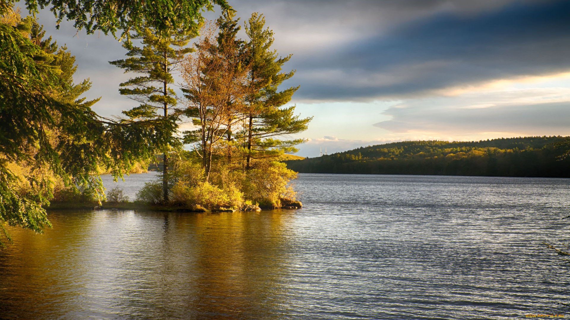 природа, реки, озера, река, лес
