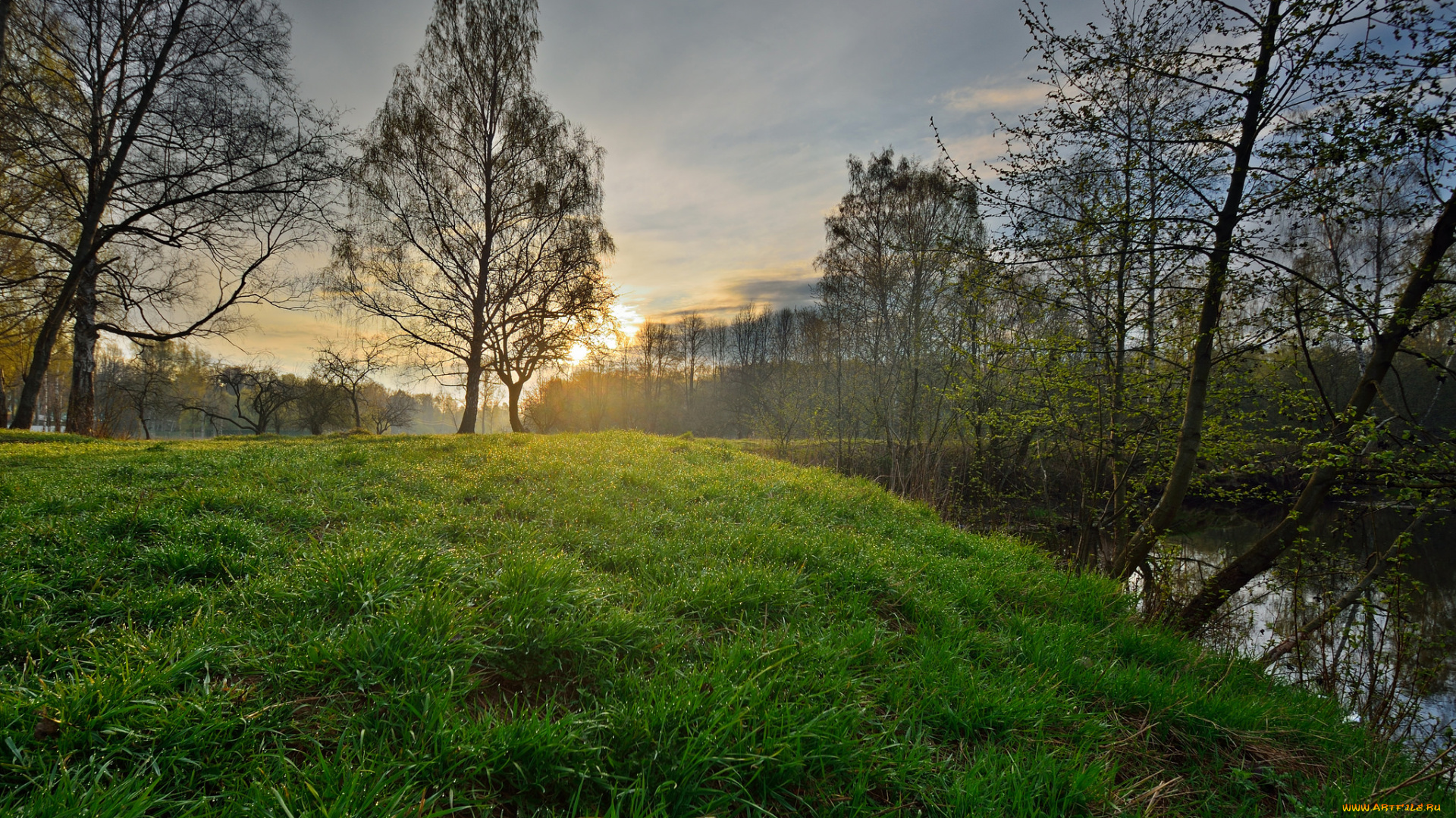 природа, реки, озера, река, лес