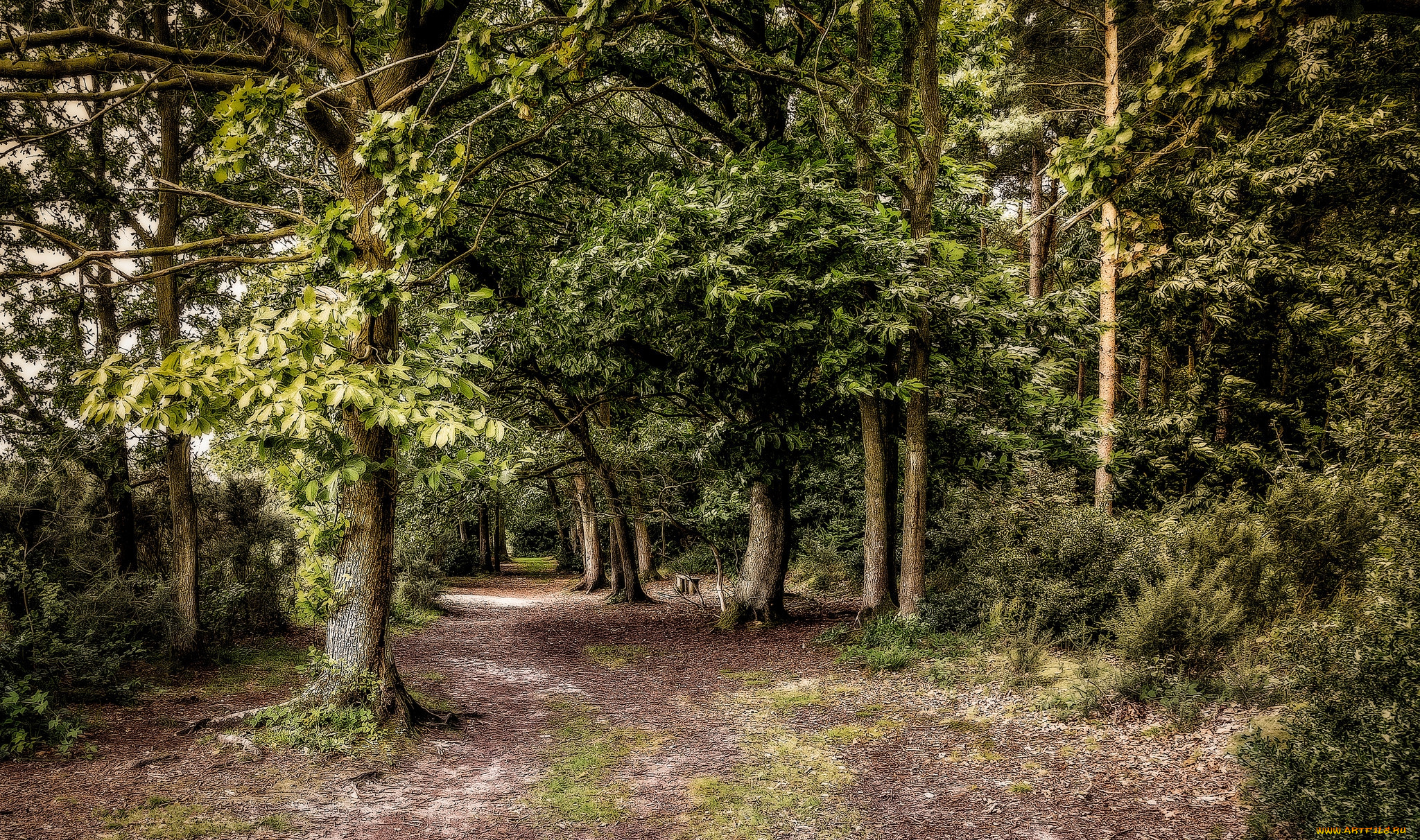 природа, дороги, тракт