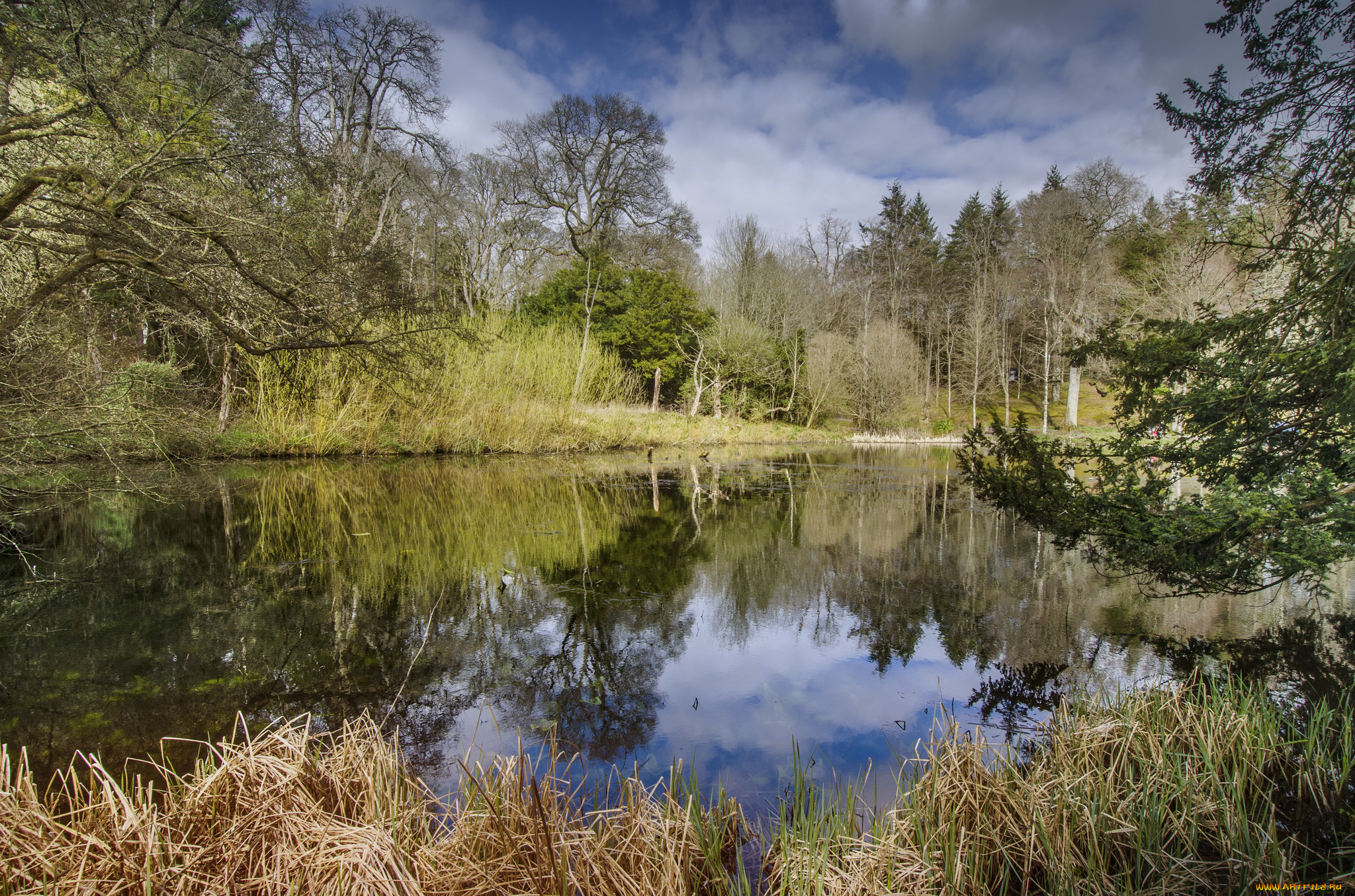 природа, реки, озера, лес, река