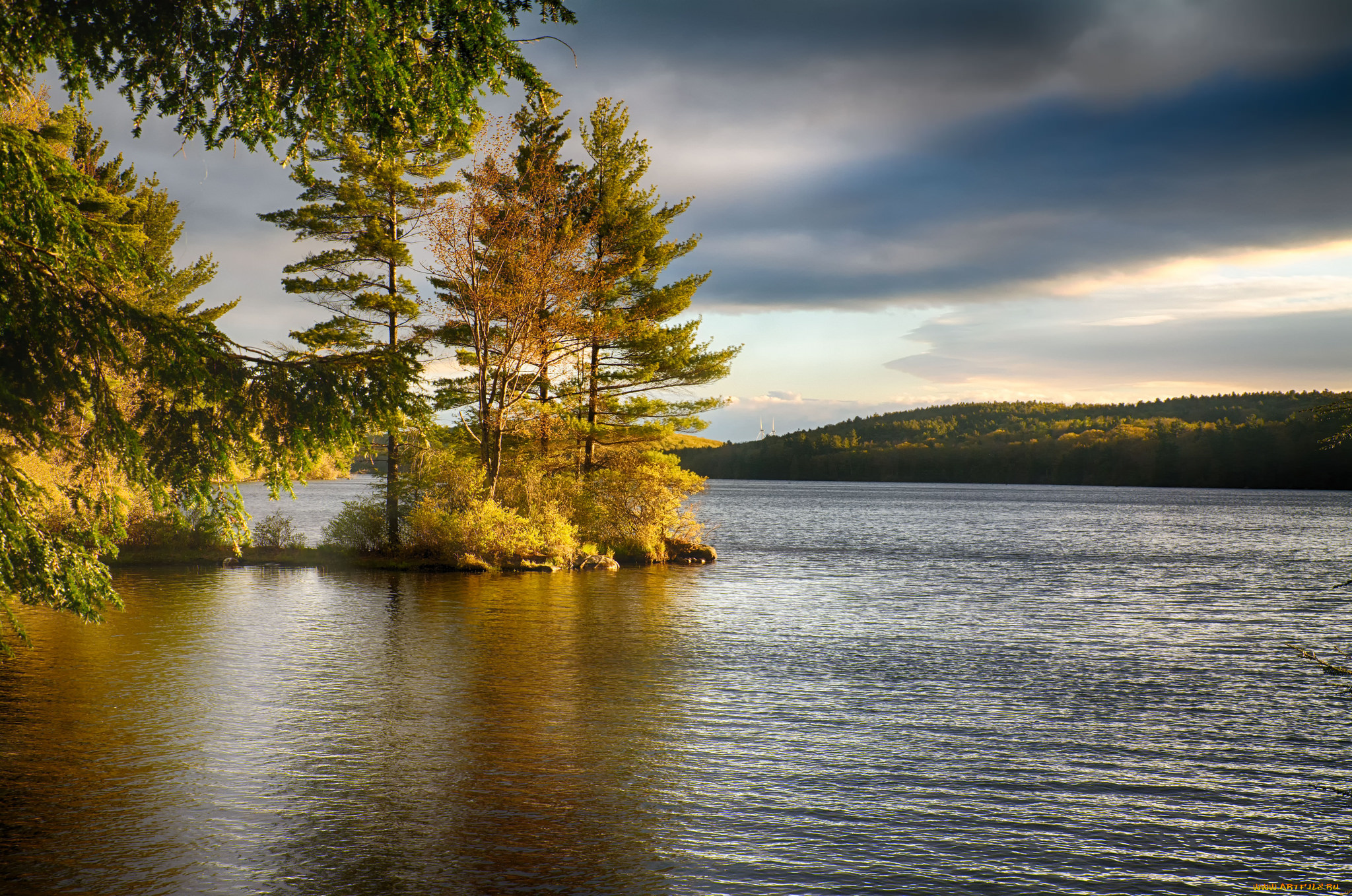 природа, реки, озера, река, лес