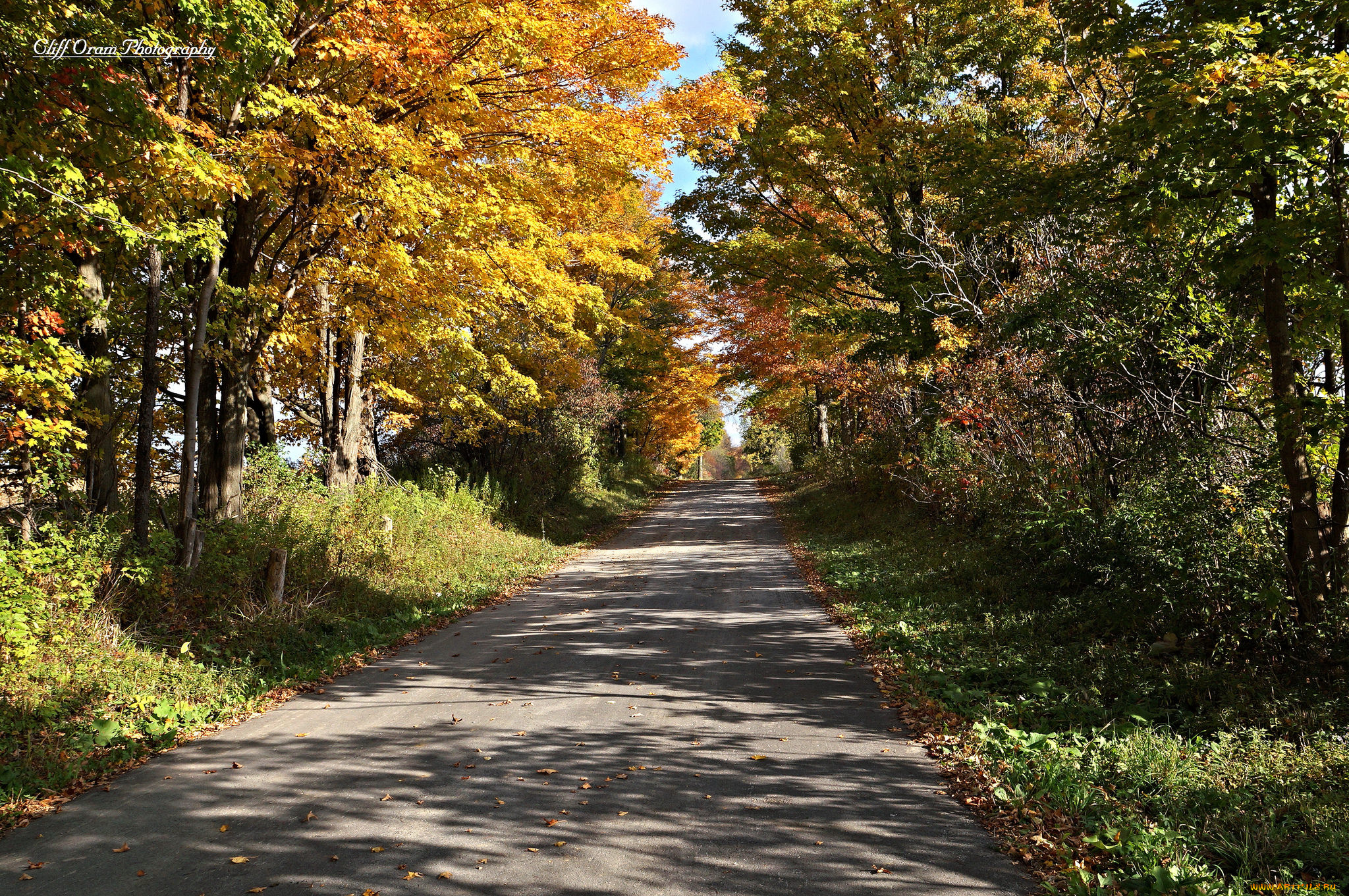 природа, дороги, тракт
