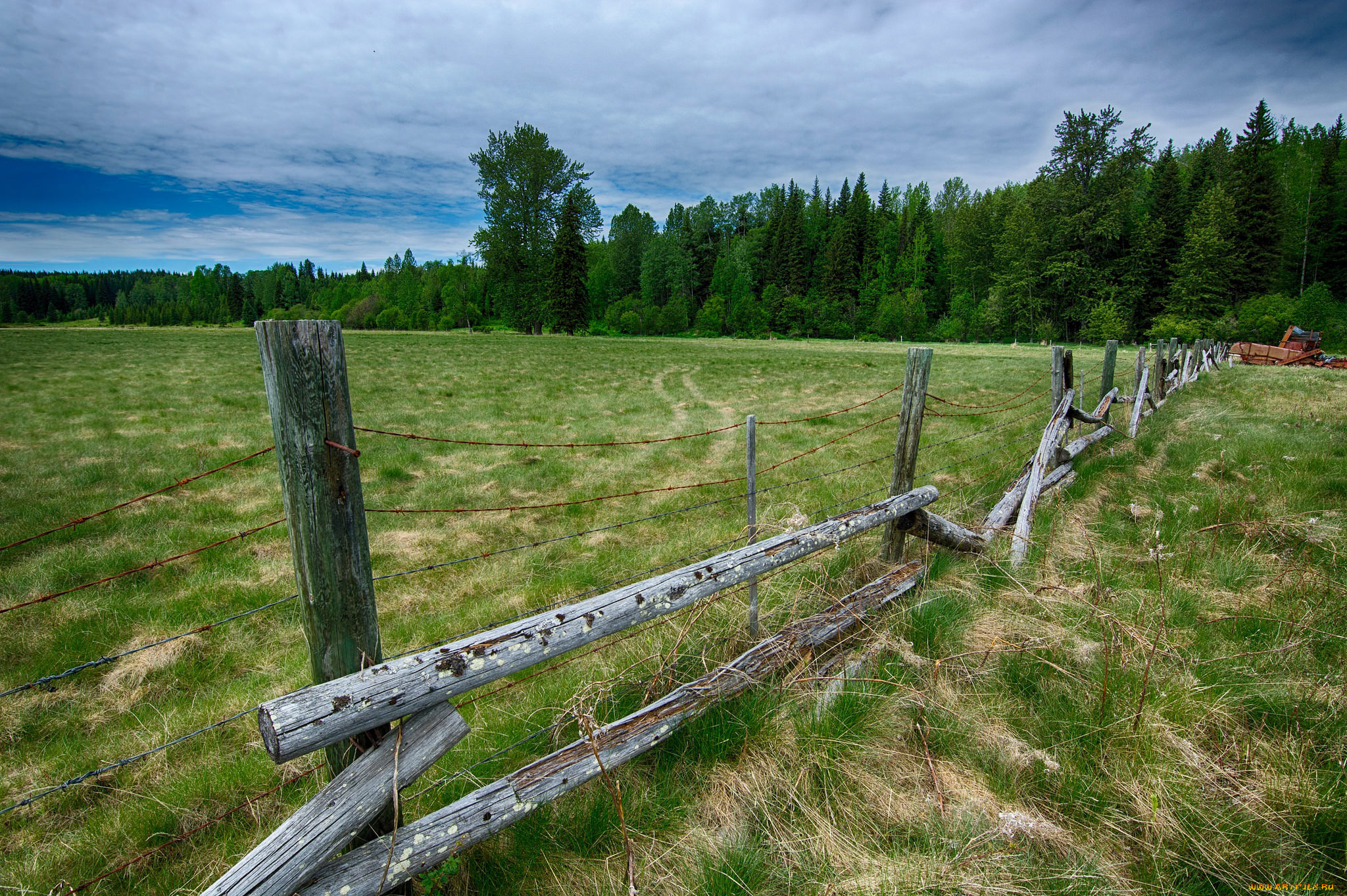 природа, пейзажи, изгородь, поле