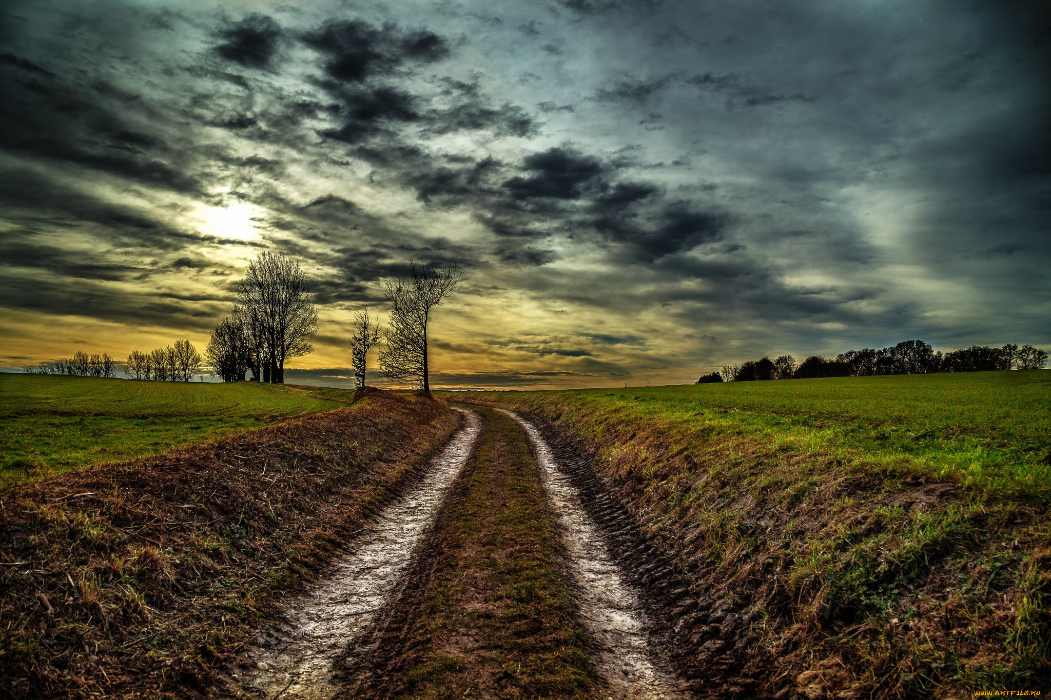 природа, дороги, тракт