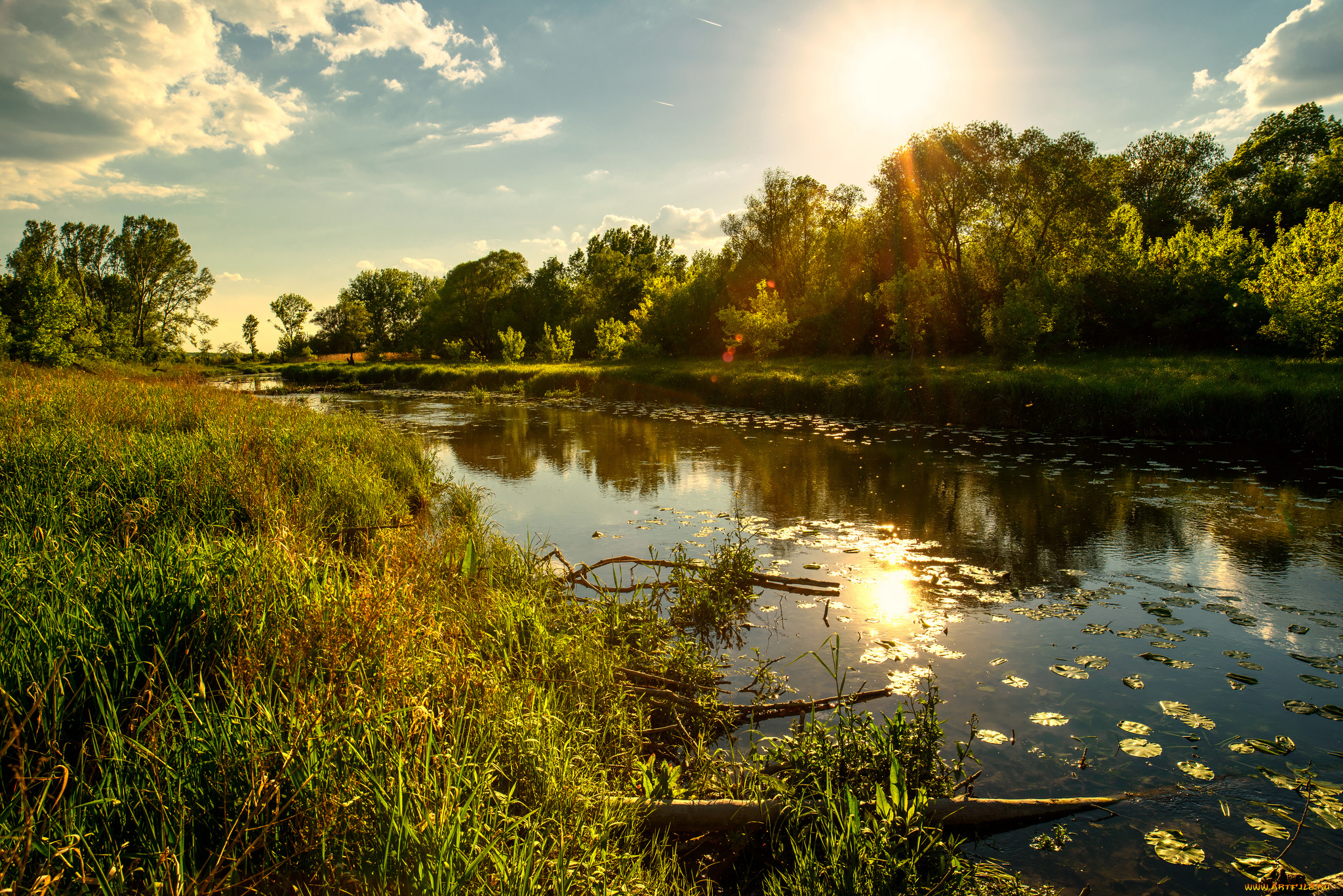 природа, реки, озера, река, лес