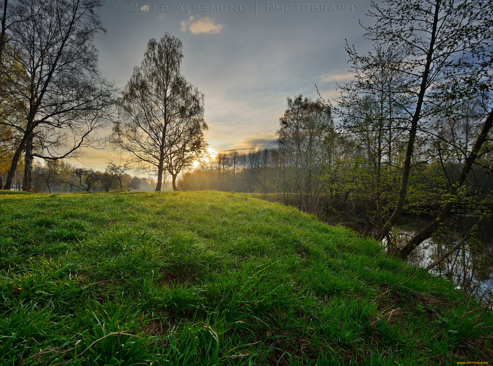 природа, реки, озера, река, лес