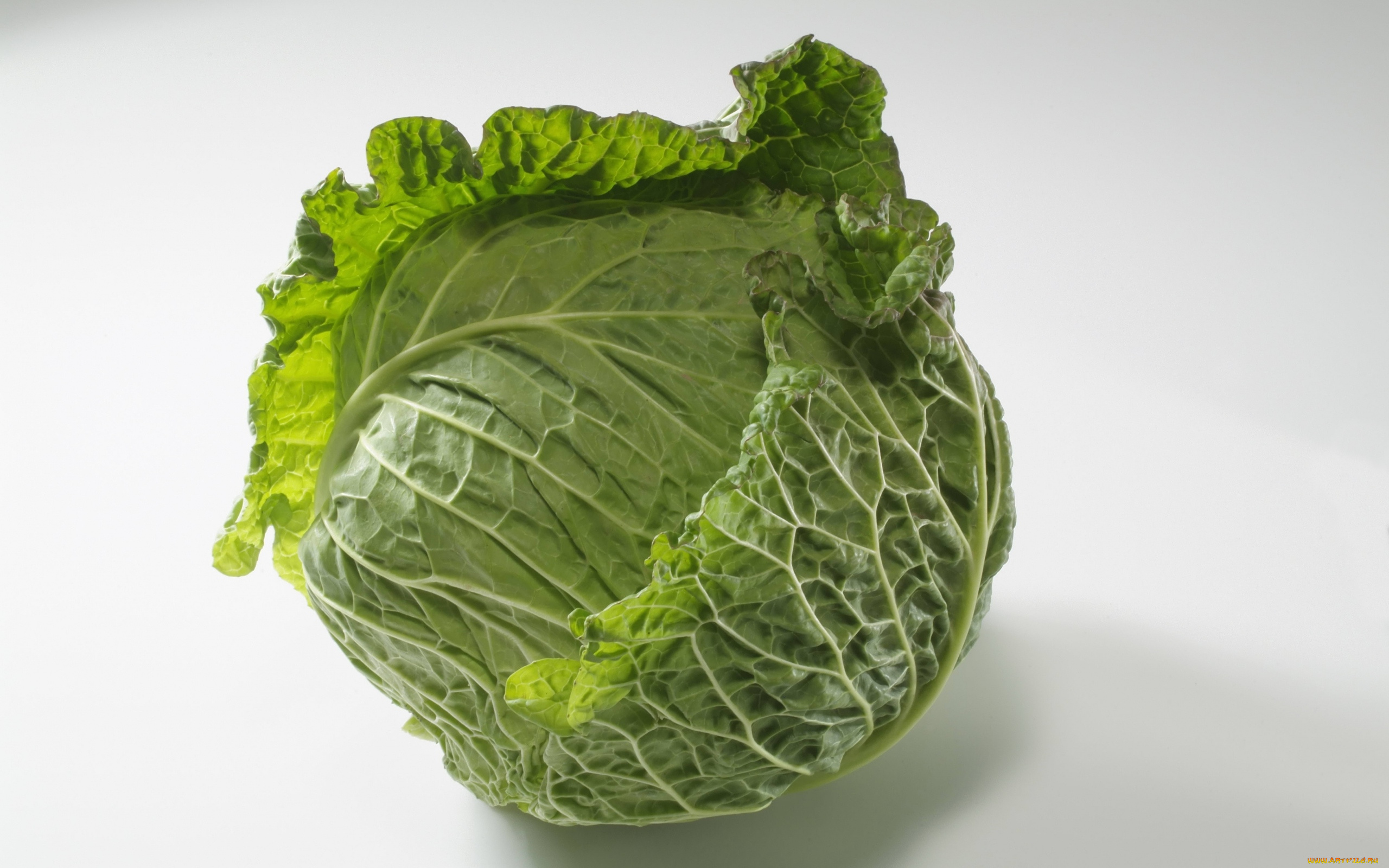 еда, капуста, и, её, разновидности, кочан