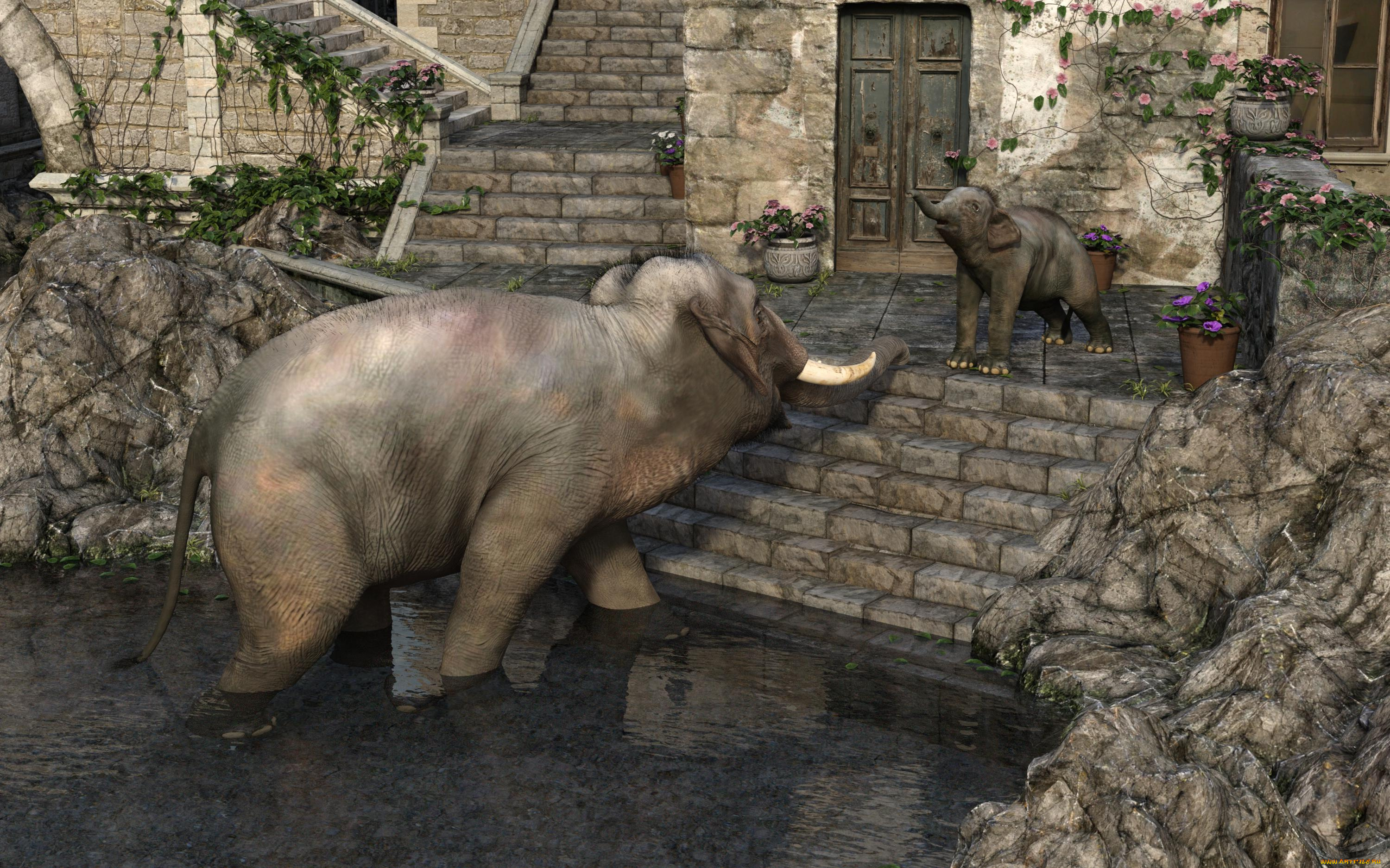 3д, графика, животные, , animals, слон, фон