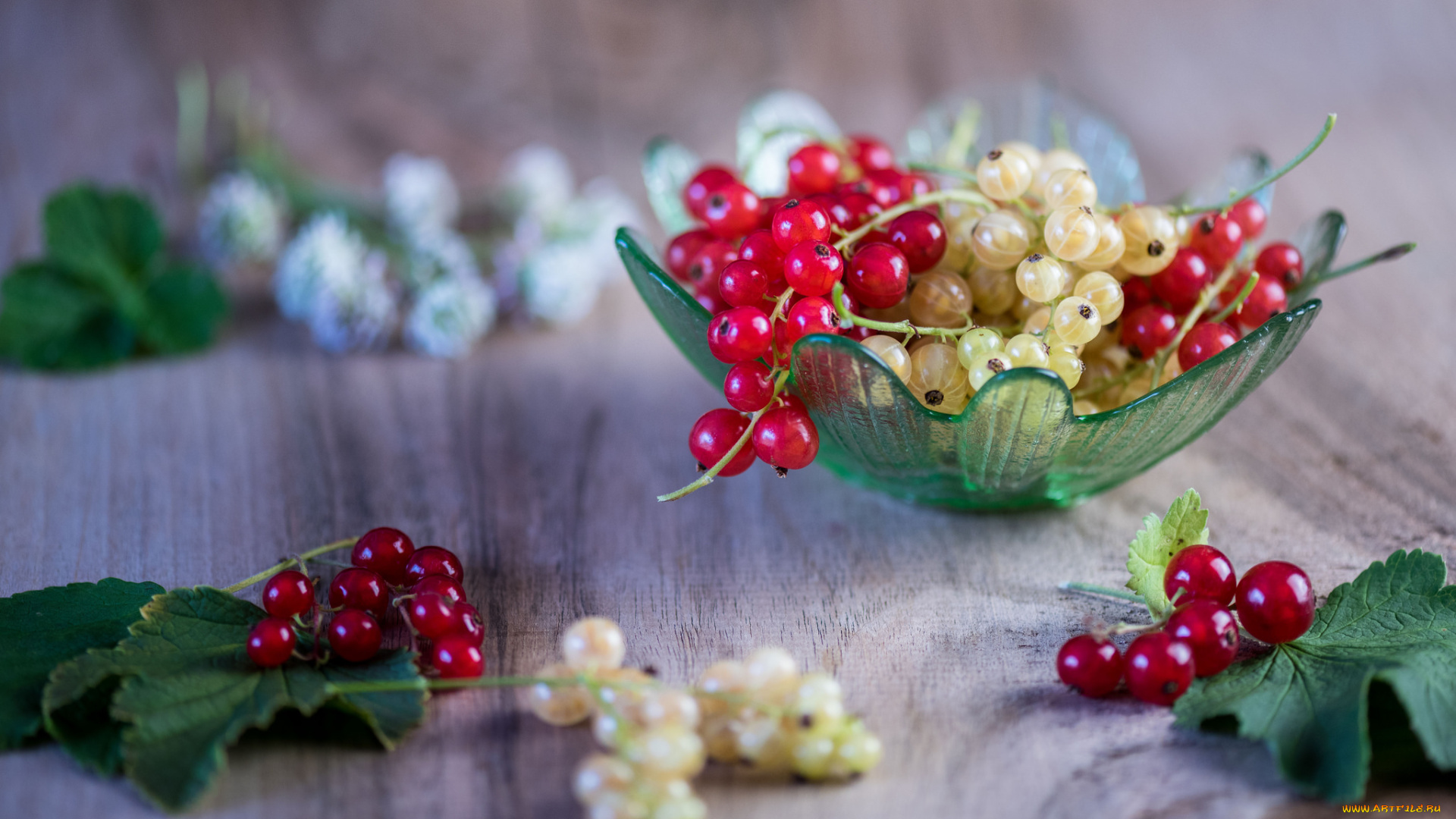 еда, смородина, ягода, веточка, листик