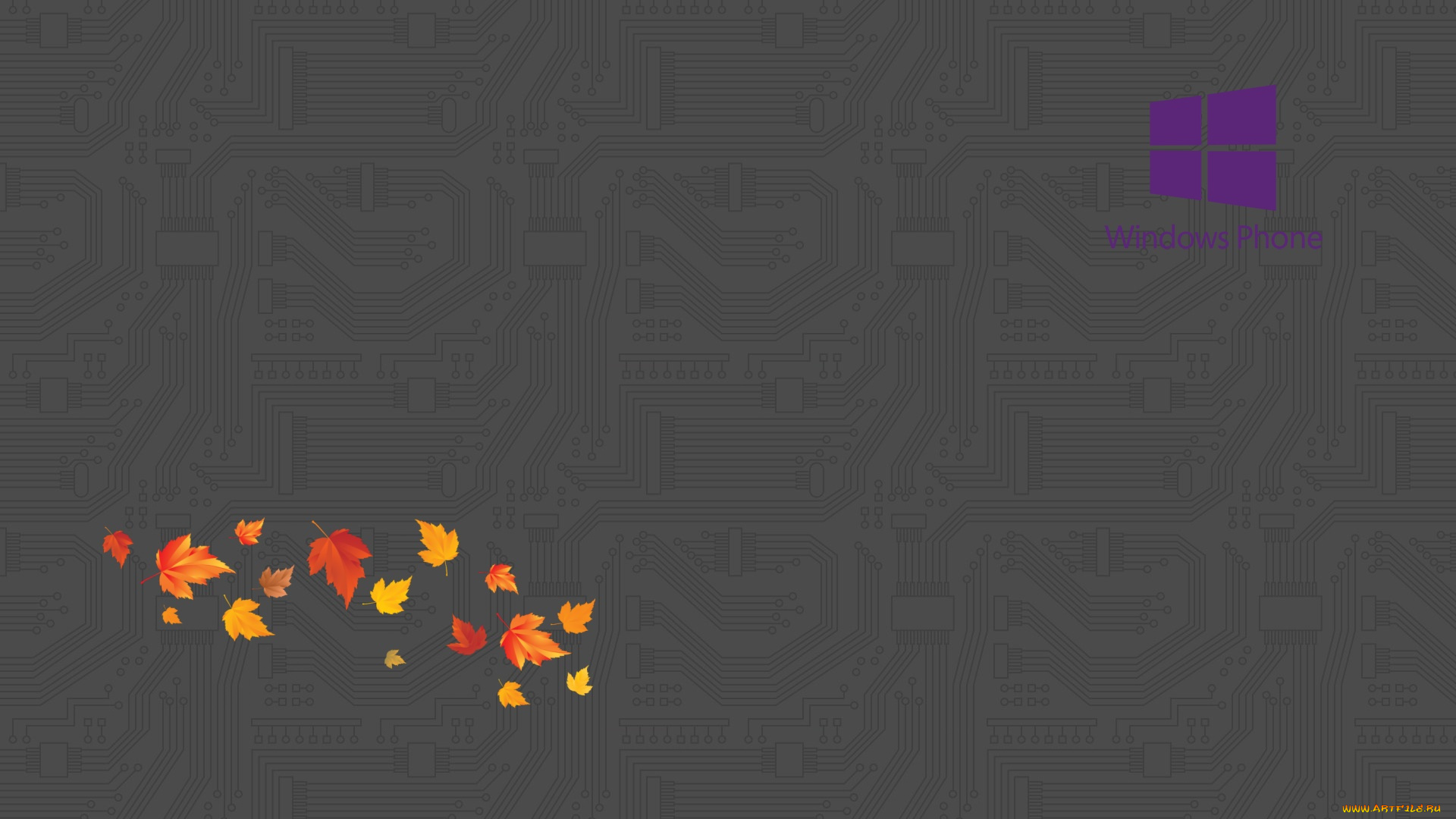 компьютеры, -unknown, , разное, фон, логотип