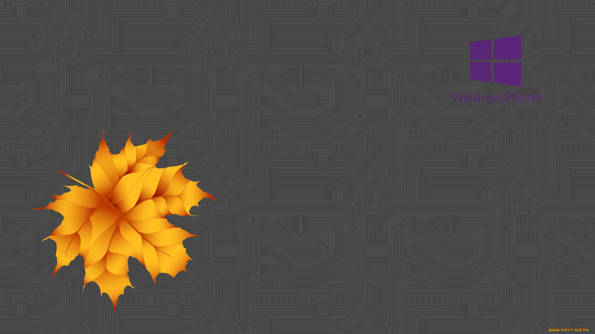 компьютеры, -unknown, , разное, логотип, фон