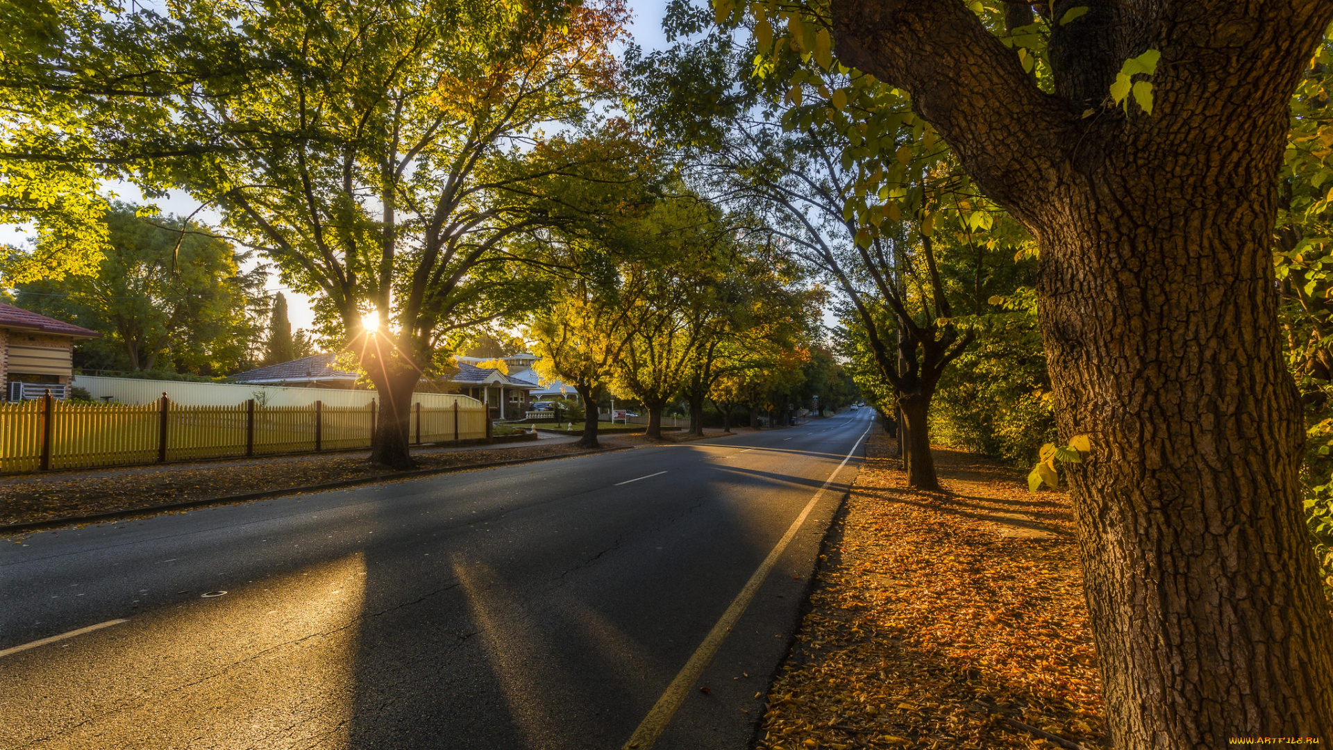 природа, дороги, шоссе