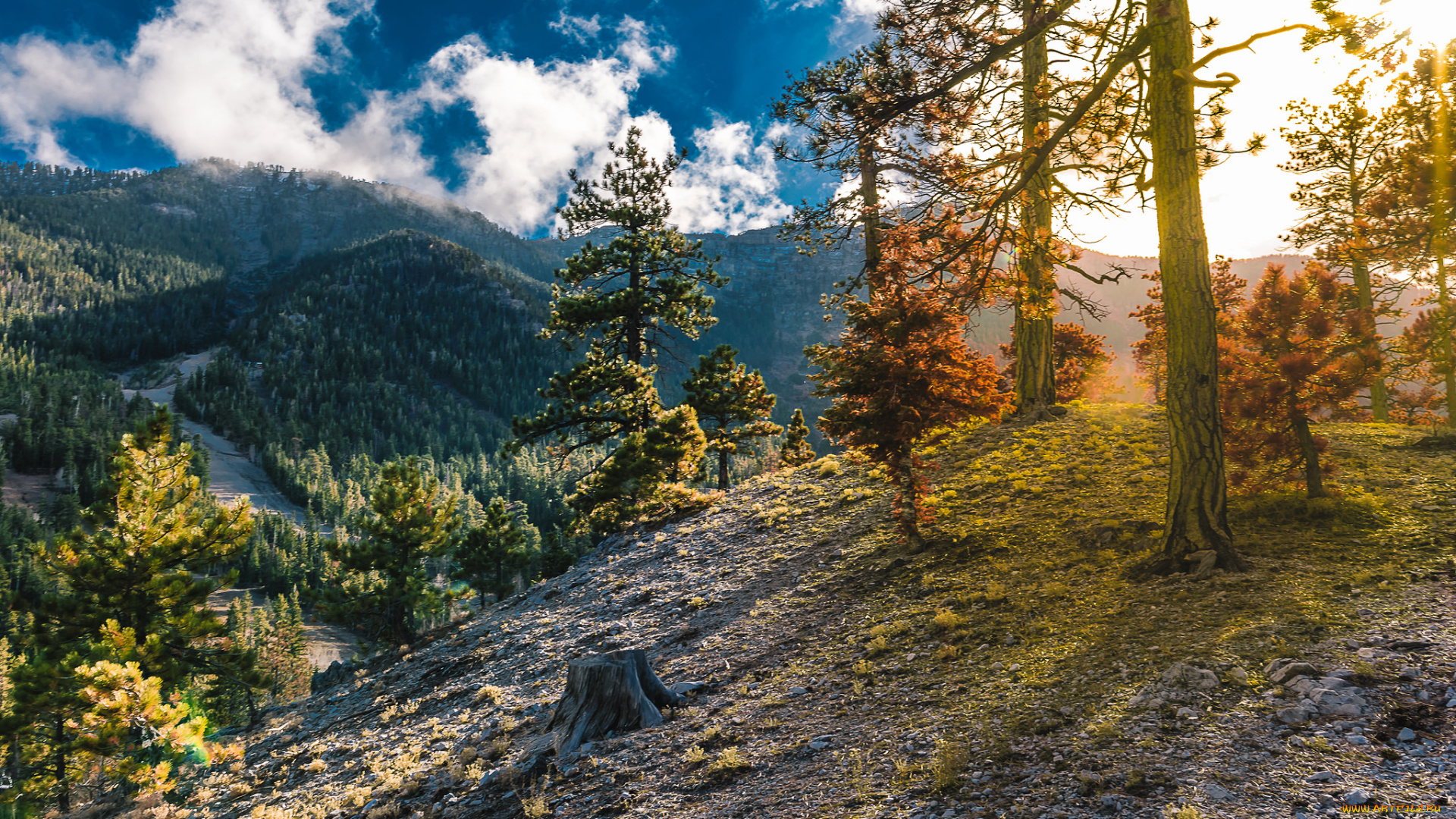 природа, горы, простор