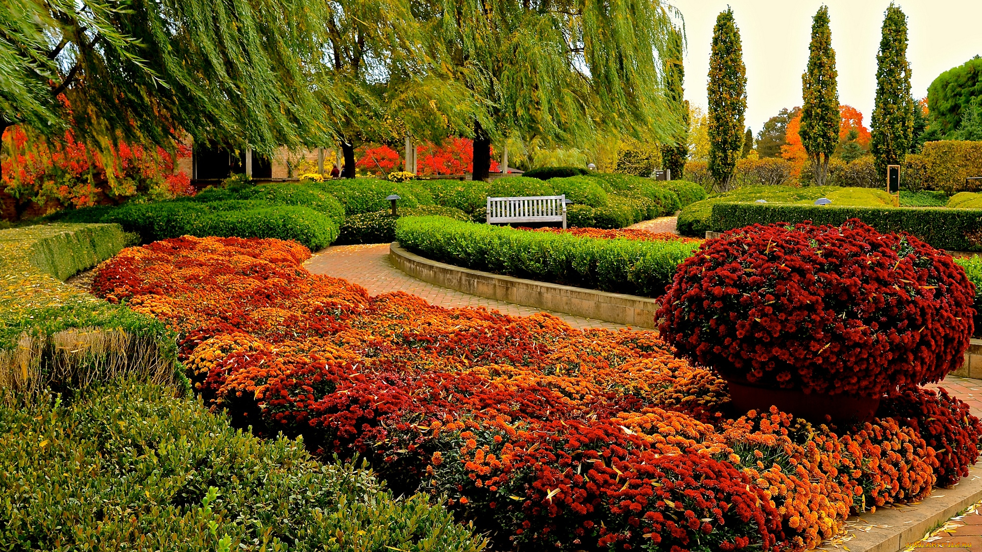 природа, парк, цветы, разноцветные, дорожка, аллея