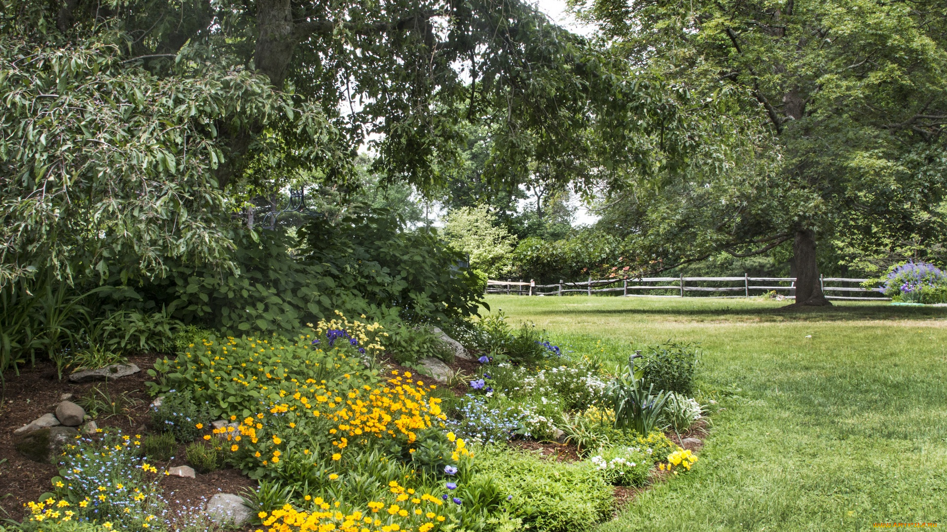 природа, парк, забор, деревья, цветы, трава