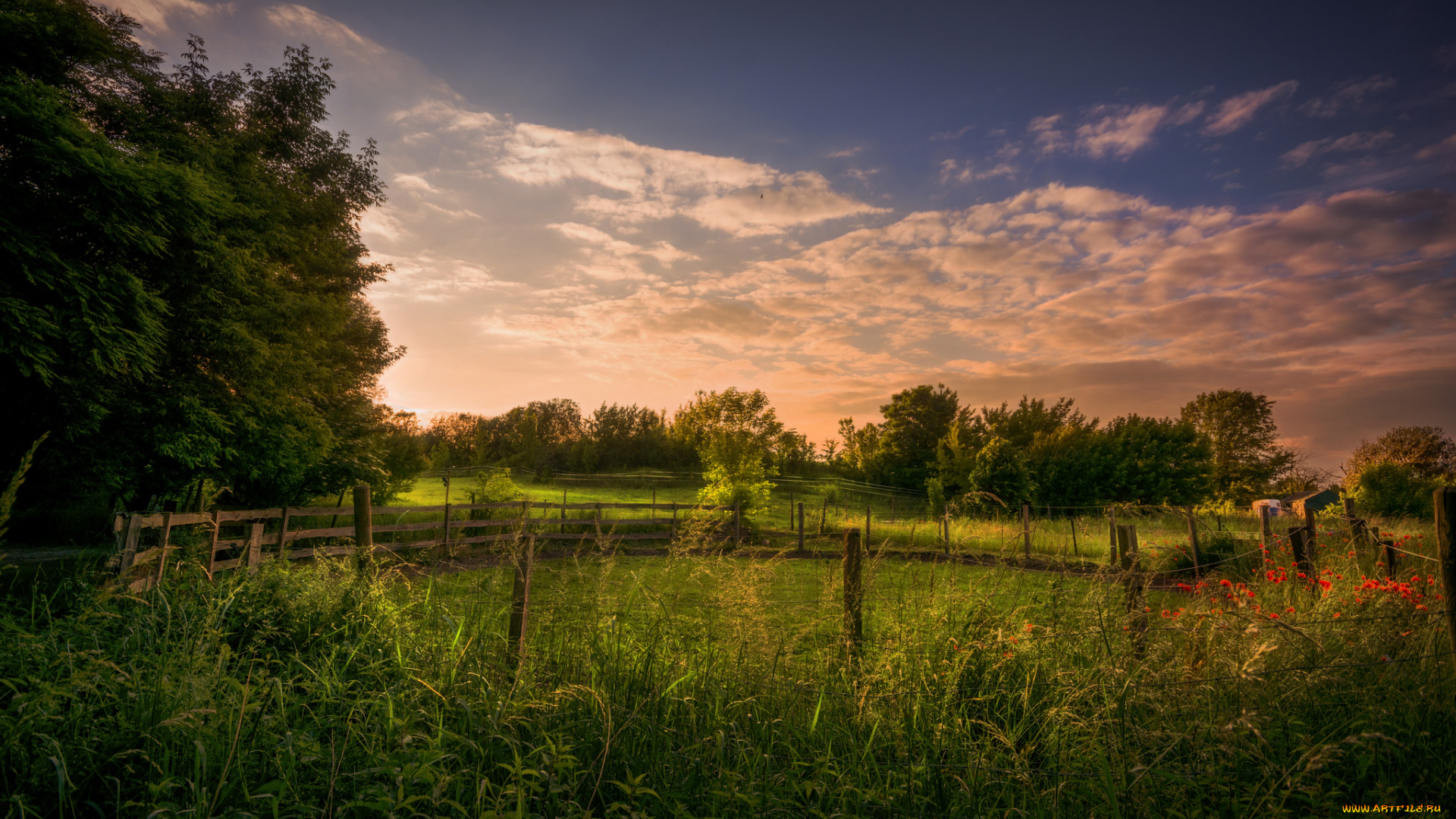 природа, пейзажи, простор