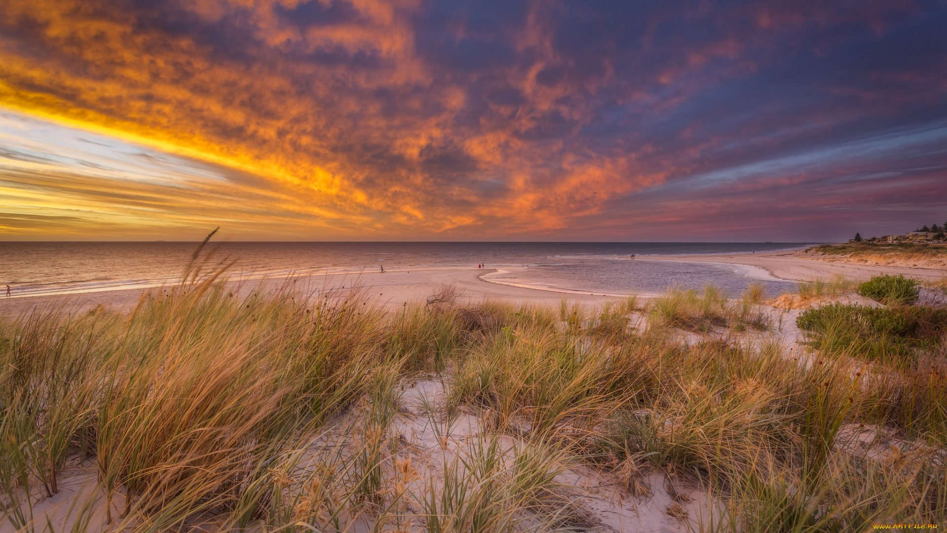 природа, побережье, море, берег