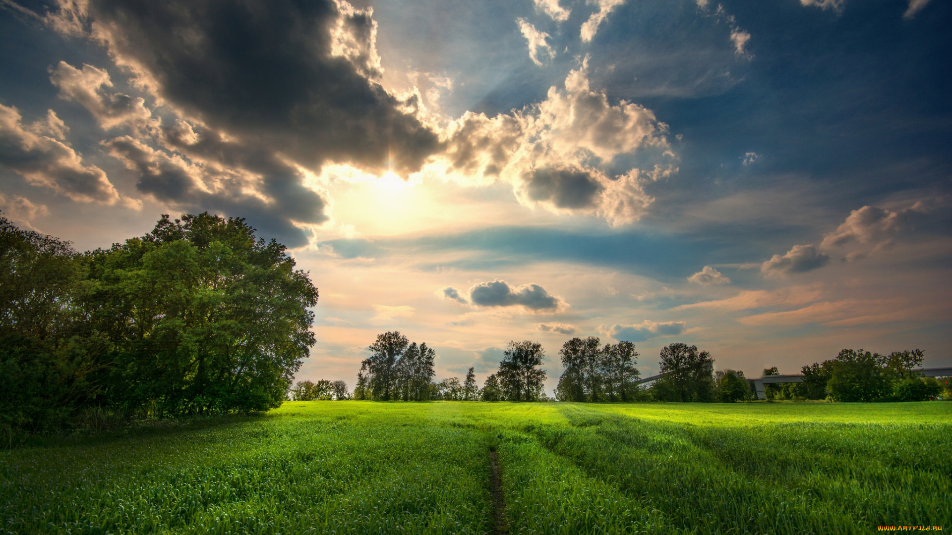 природа, поля, простор