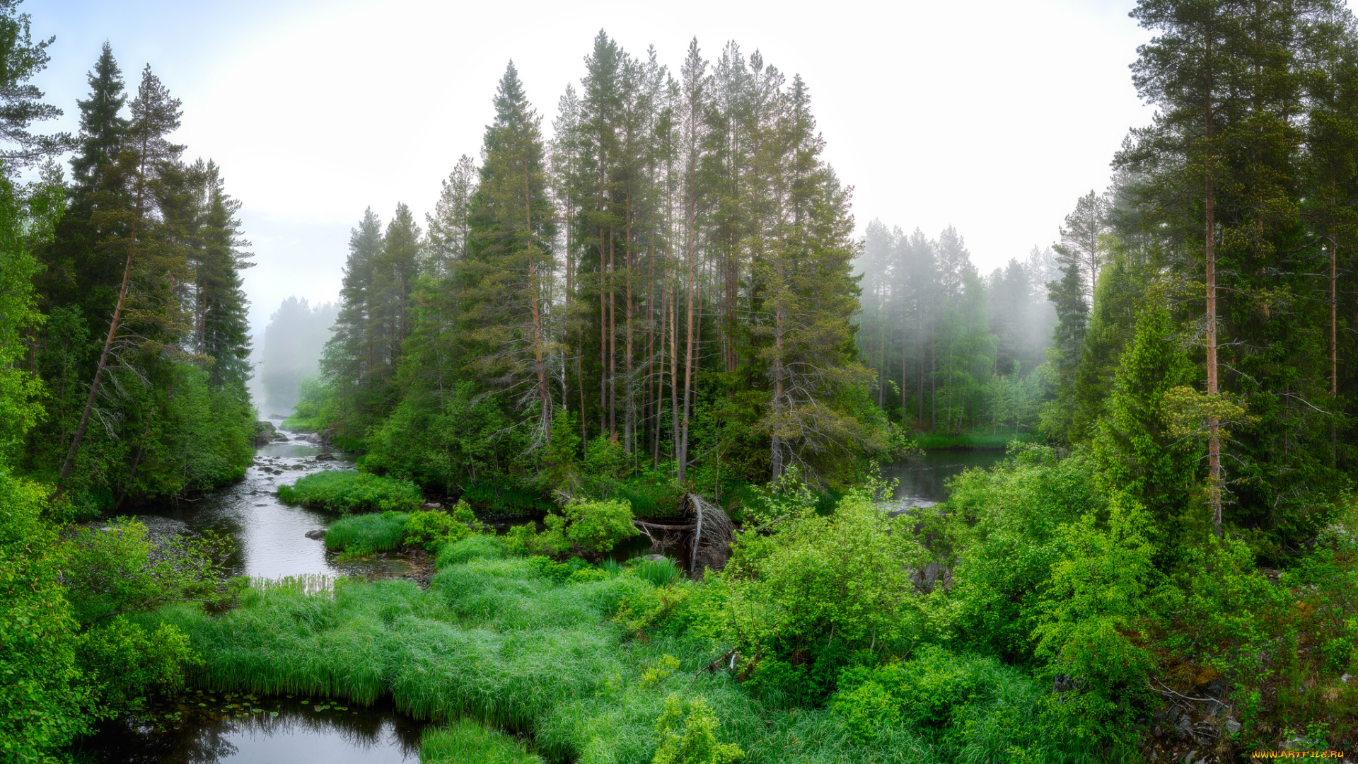 природа, реки, озера, деревья