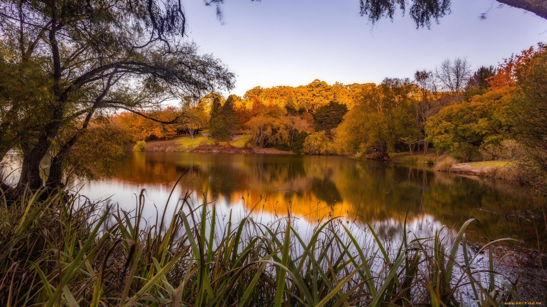 природа, реки, озера, лес, река