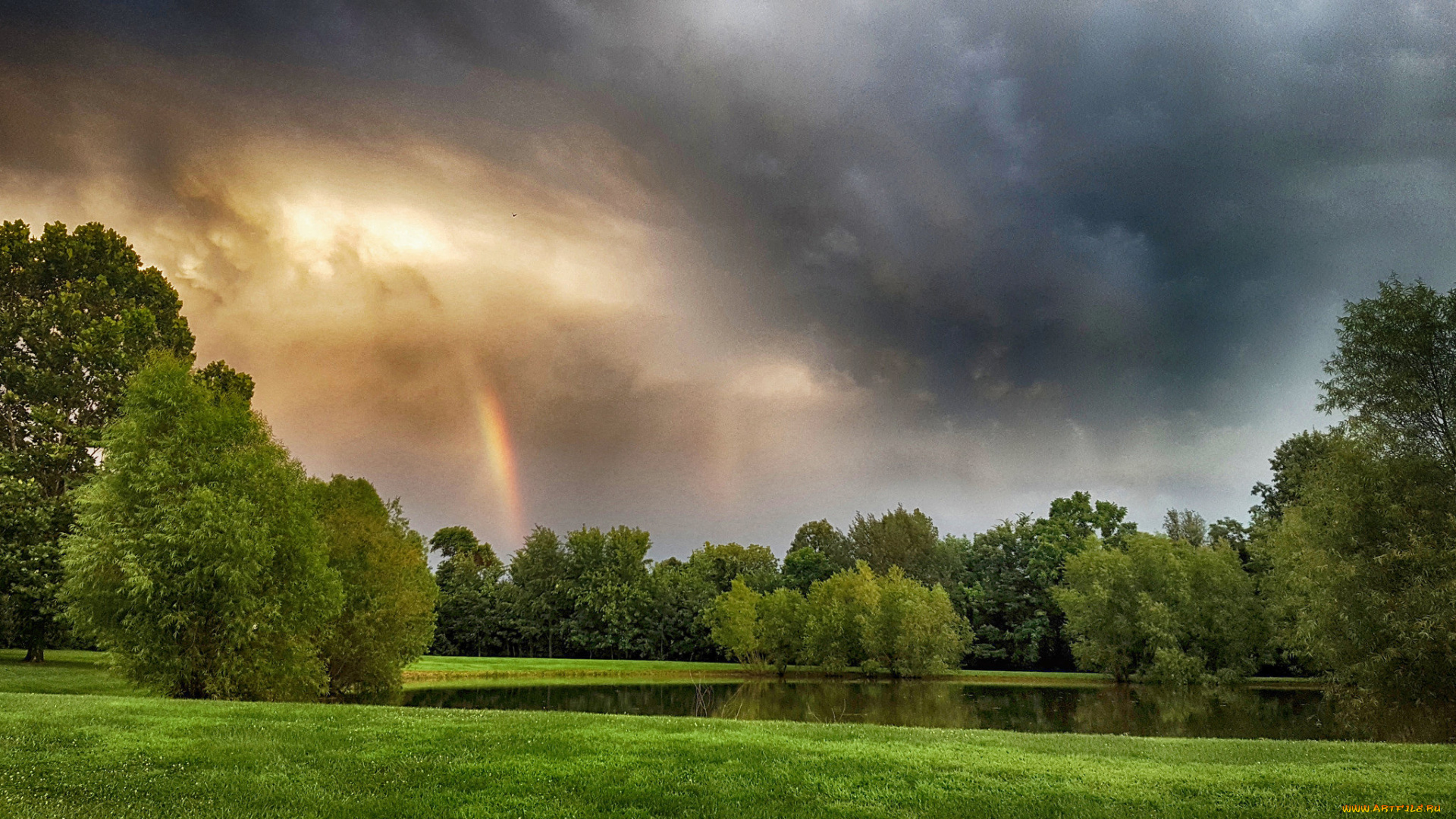 природа, реки, озера, лес, река