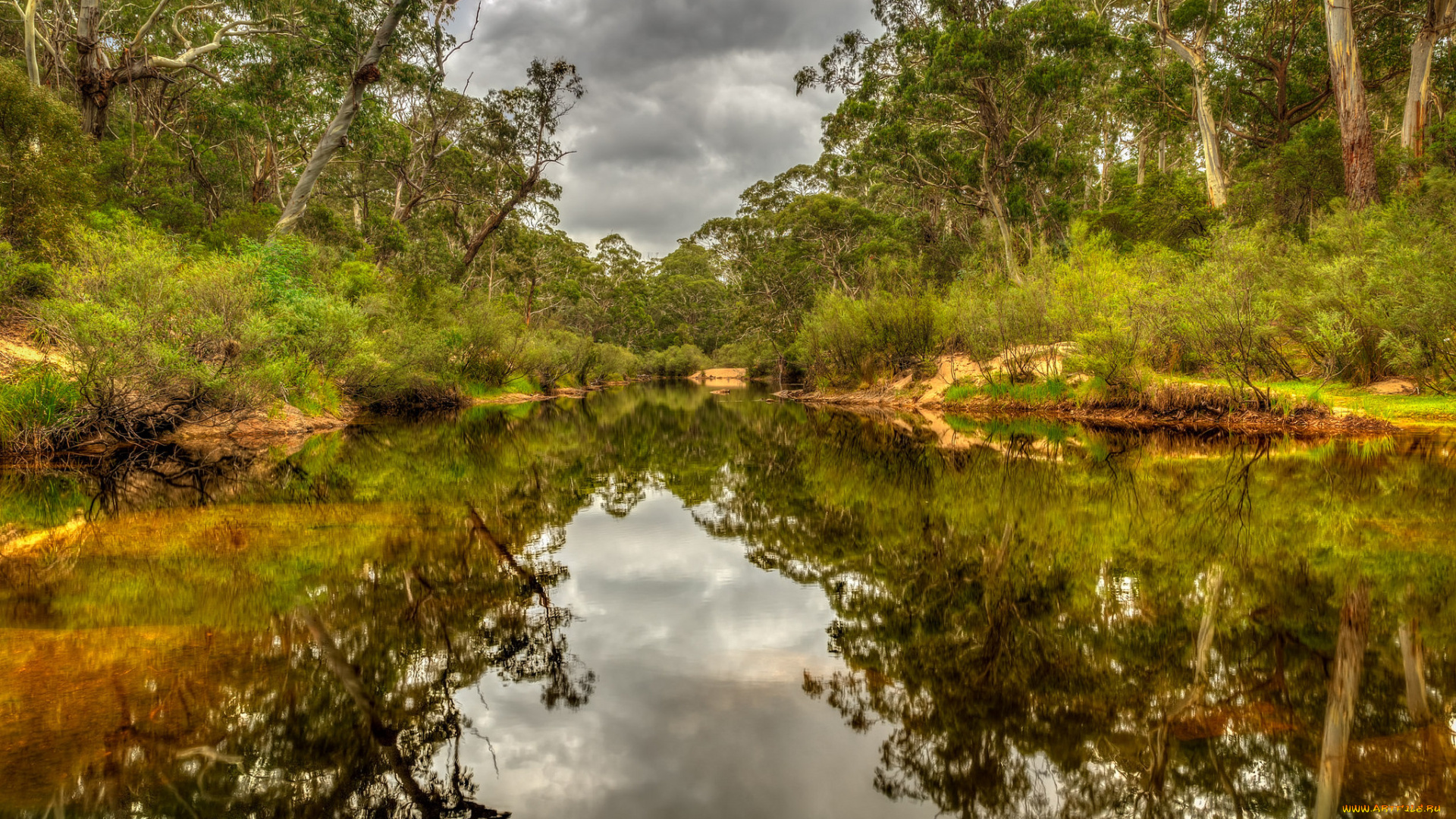 природа, реки, озера, лес, река