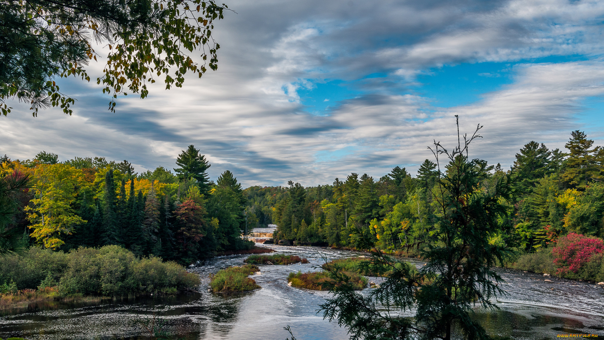 природа, реки, озера, лес, река