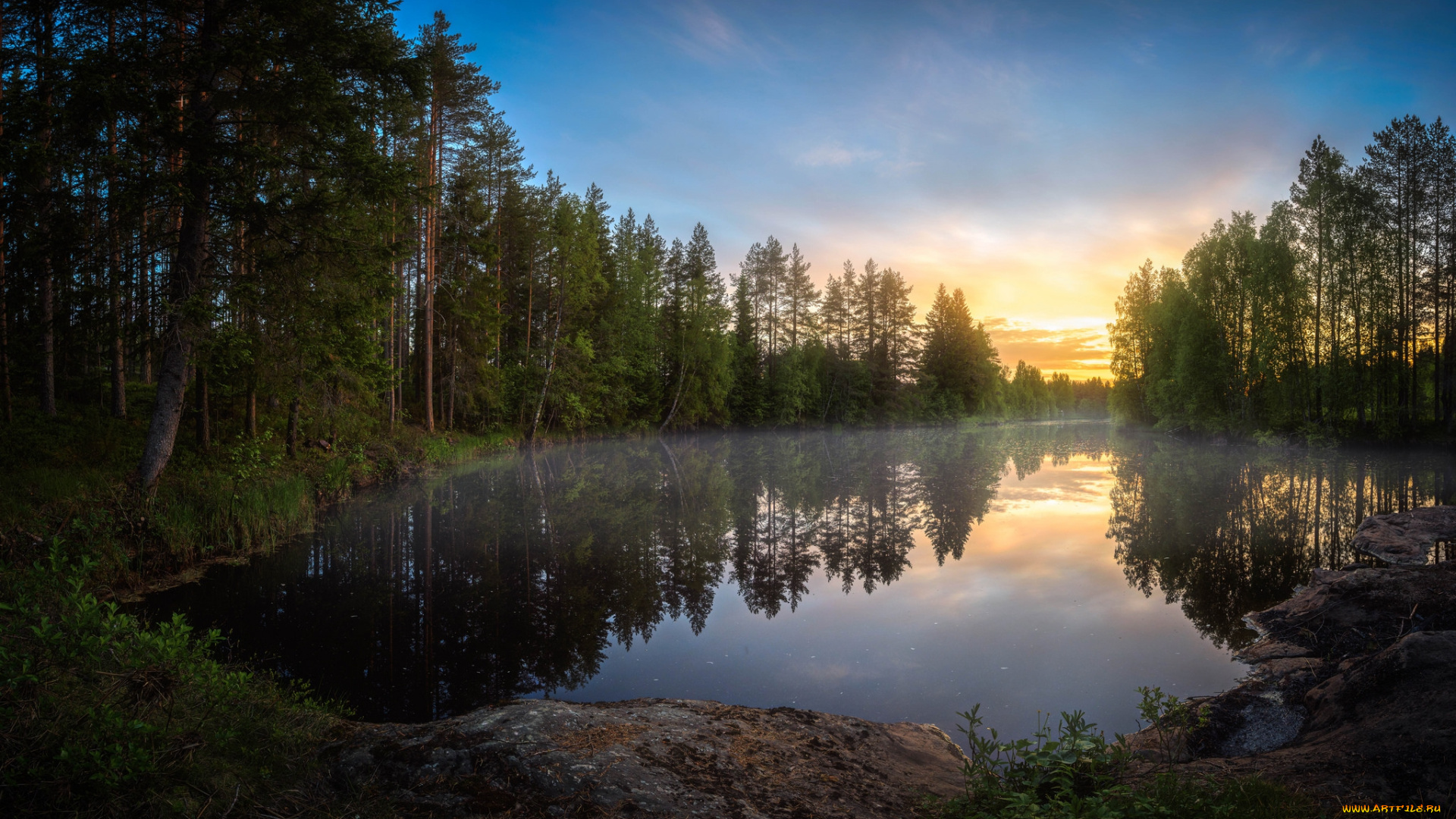 природа, реки, озера, река, лес