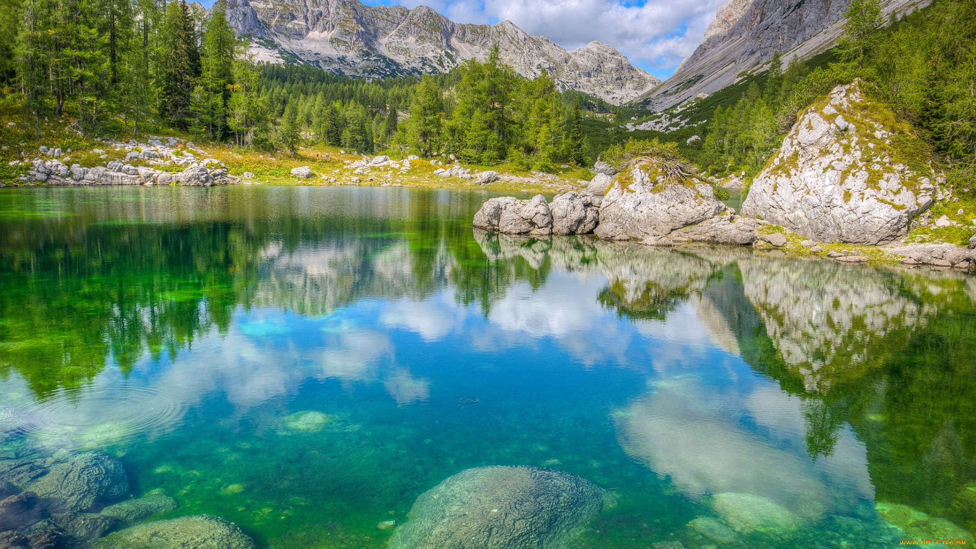 природа, реки, озера, река, лес