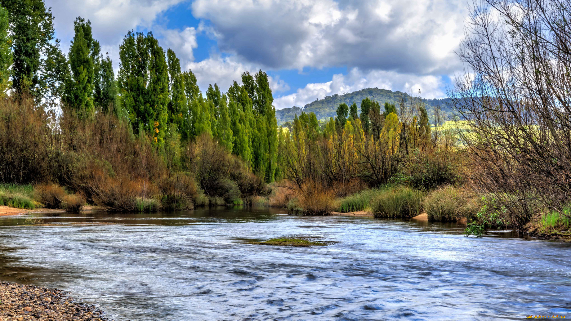 природа, реки, озера, река, лес