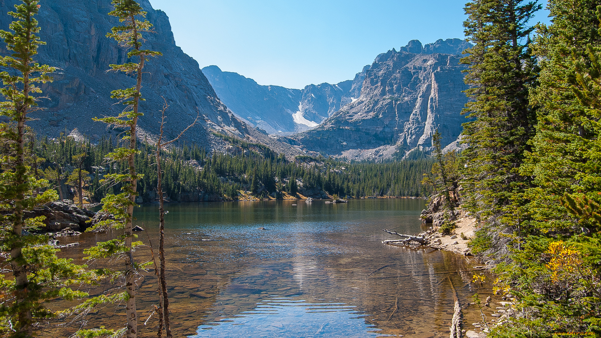 природа, реки, озера, река, лес