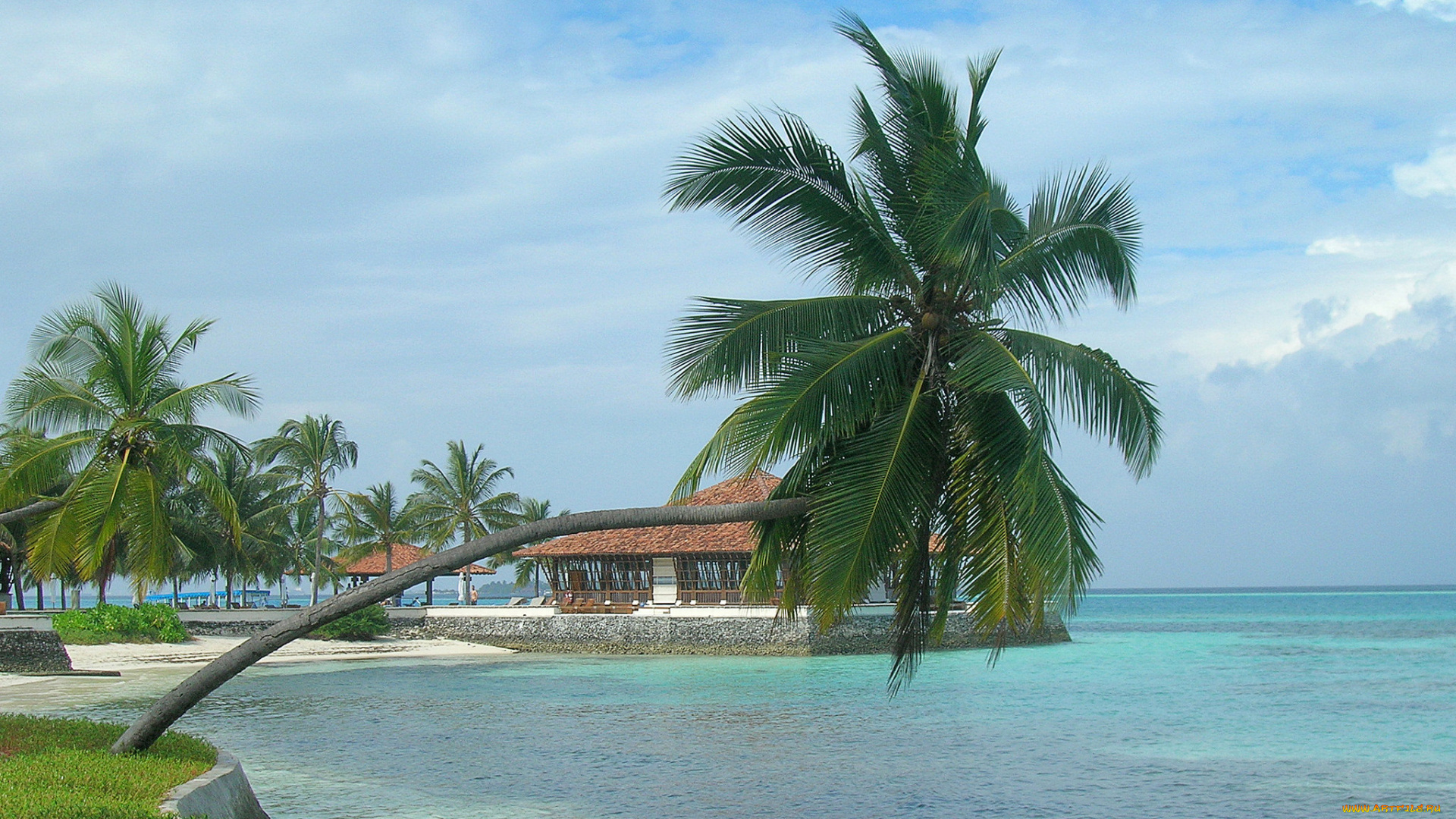 природа, тропики, курорт