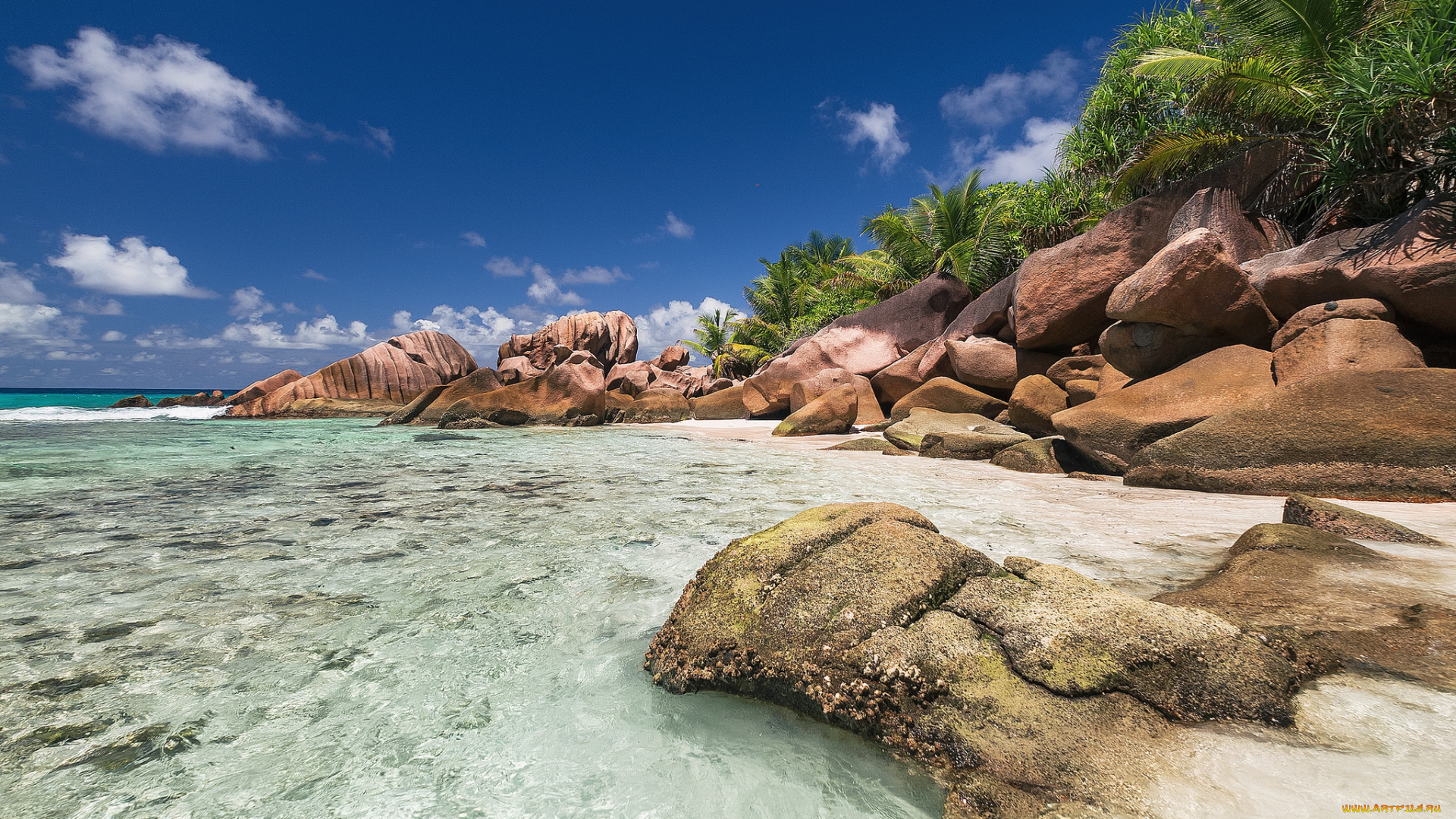 природа, тропики, курорт