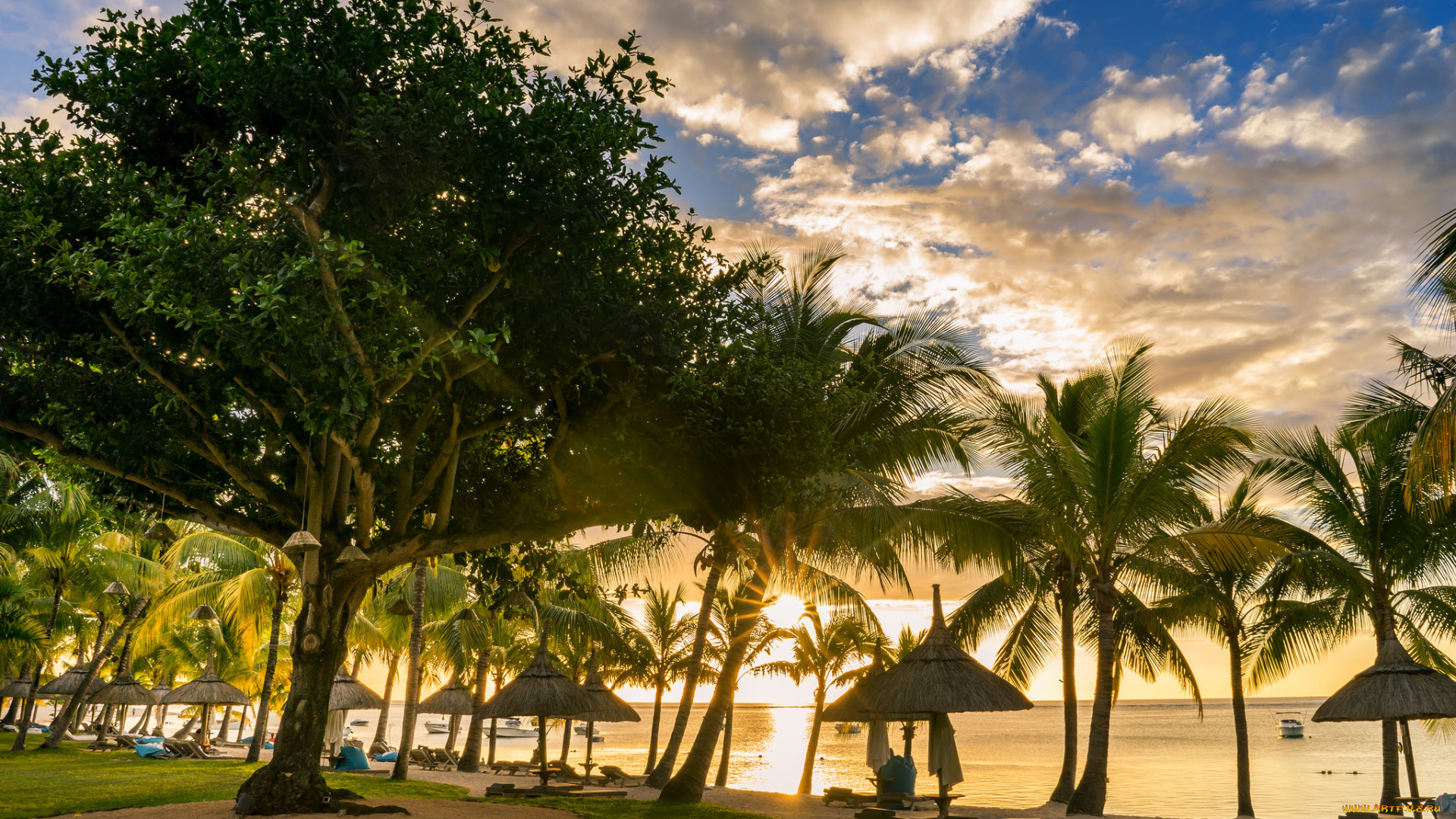 природа, тропики, курорт