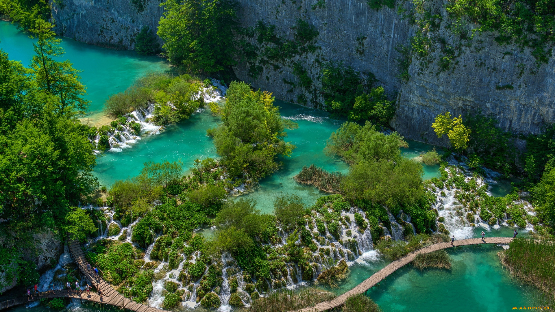 природа, водопады, лес, водопад, река